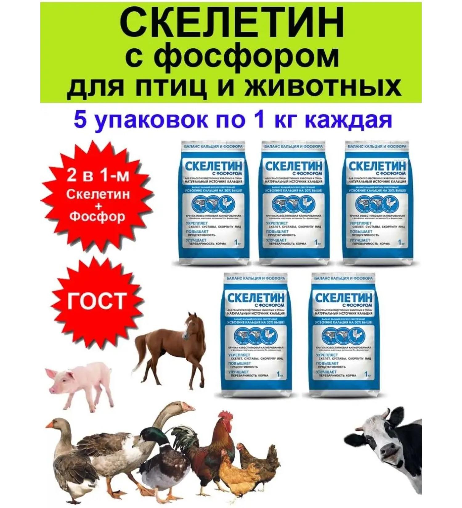 Biopro Skeletin with phosphorus for birds of chickens of animals 1 kg - 5 pcs - Buy Online on GoSupps.com