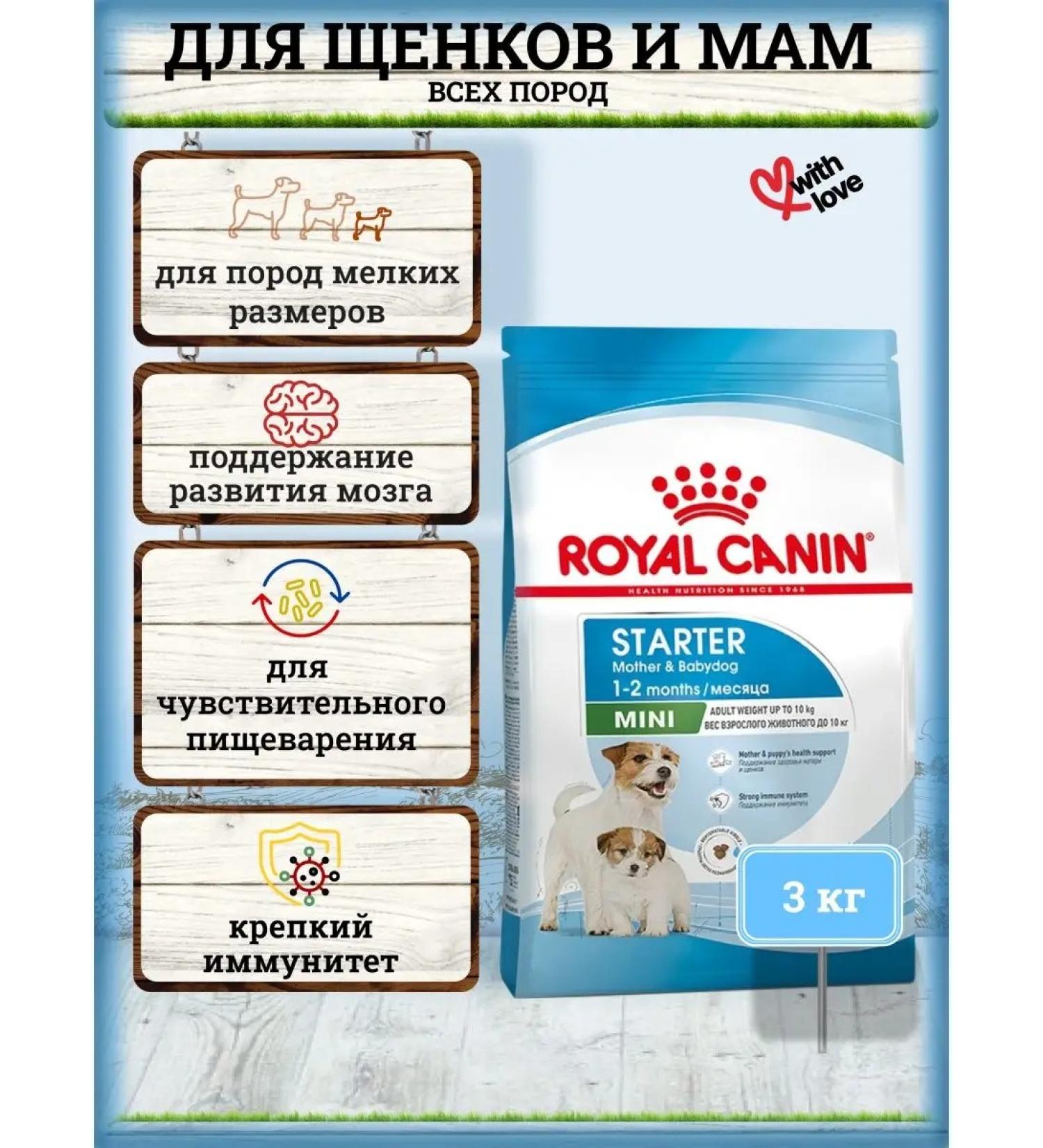 ROYAL CANIN Dry food for dogs Mini Starter 3 kg - Buy Online on GoSupps.com
