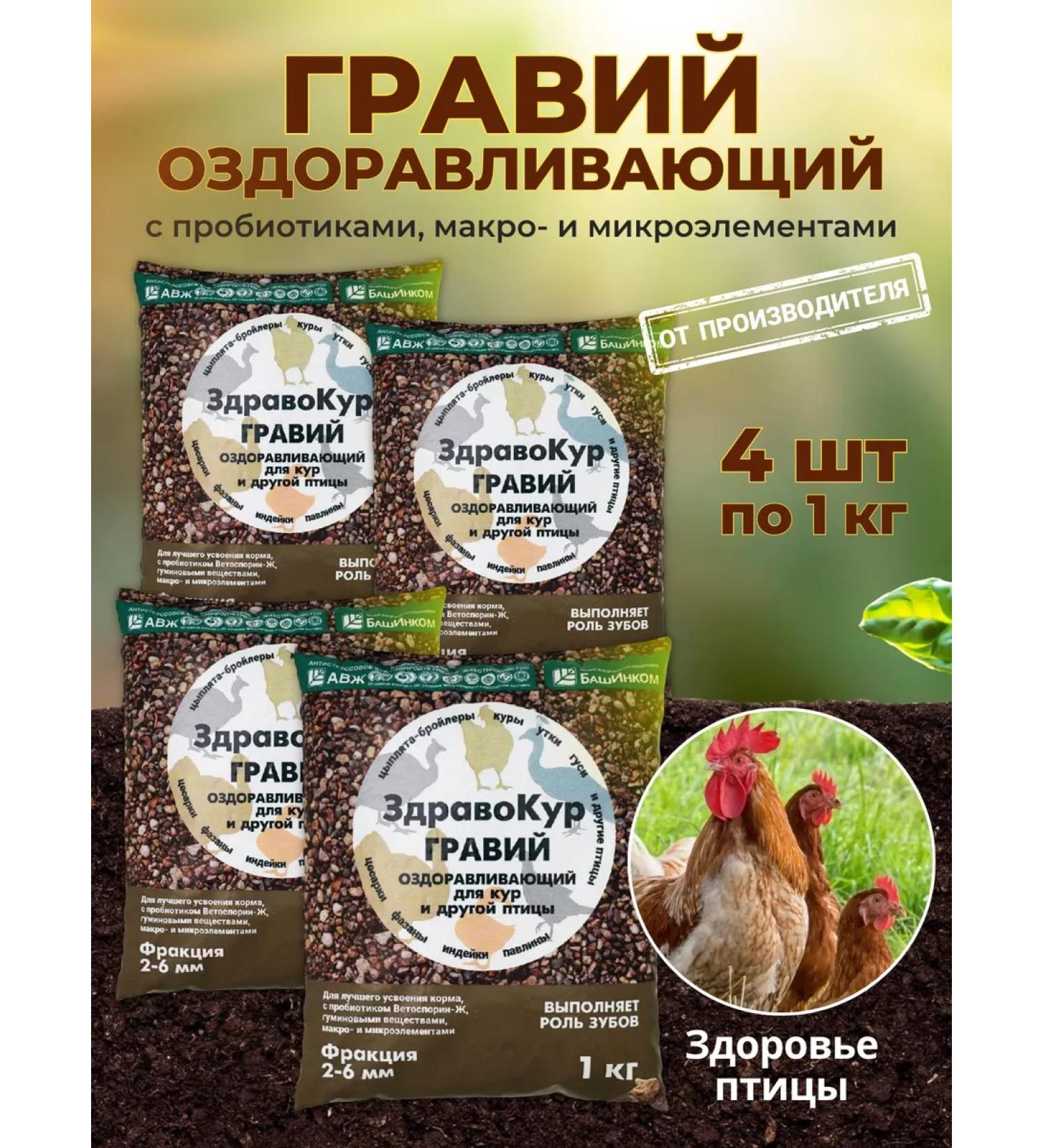 BashInkom Zdarkokur gravel top dressing for chickens 4 kg - Buy Online on GoSupps.com