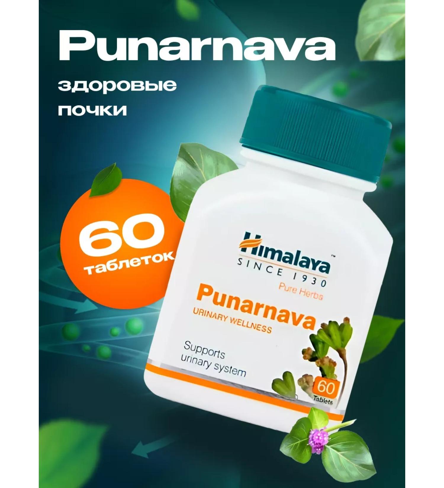 Himalaya Herbals PUNARNAVA Punarnava Treatment of the Himalaya liver kidneys 60Tab - Buy Online on GoSupps.com