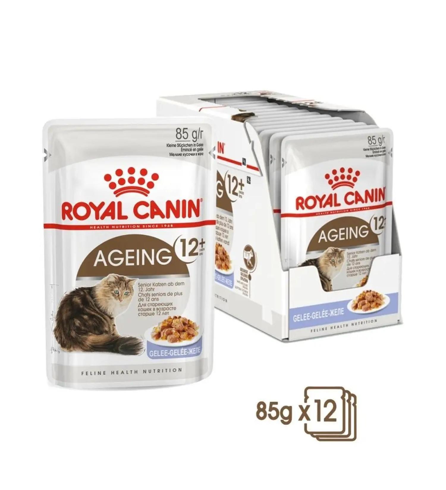 ROYAL CANIN Ageing 12+ Wet food for cats in jelly 85 g x 12 pieces - Buy Online on GoSupps.com
