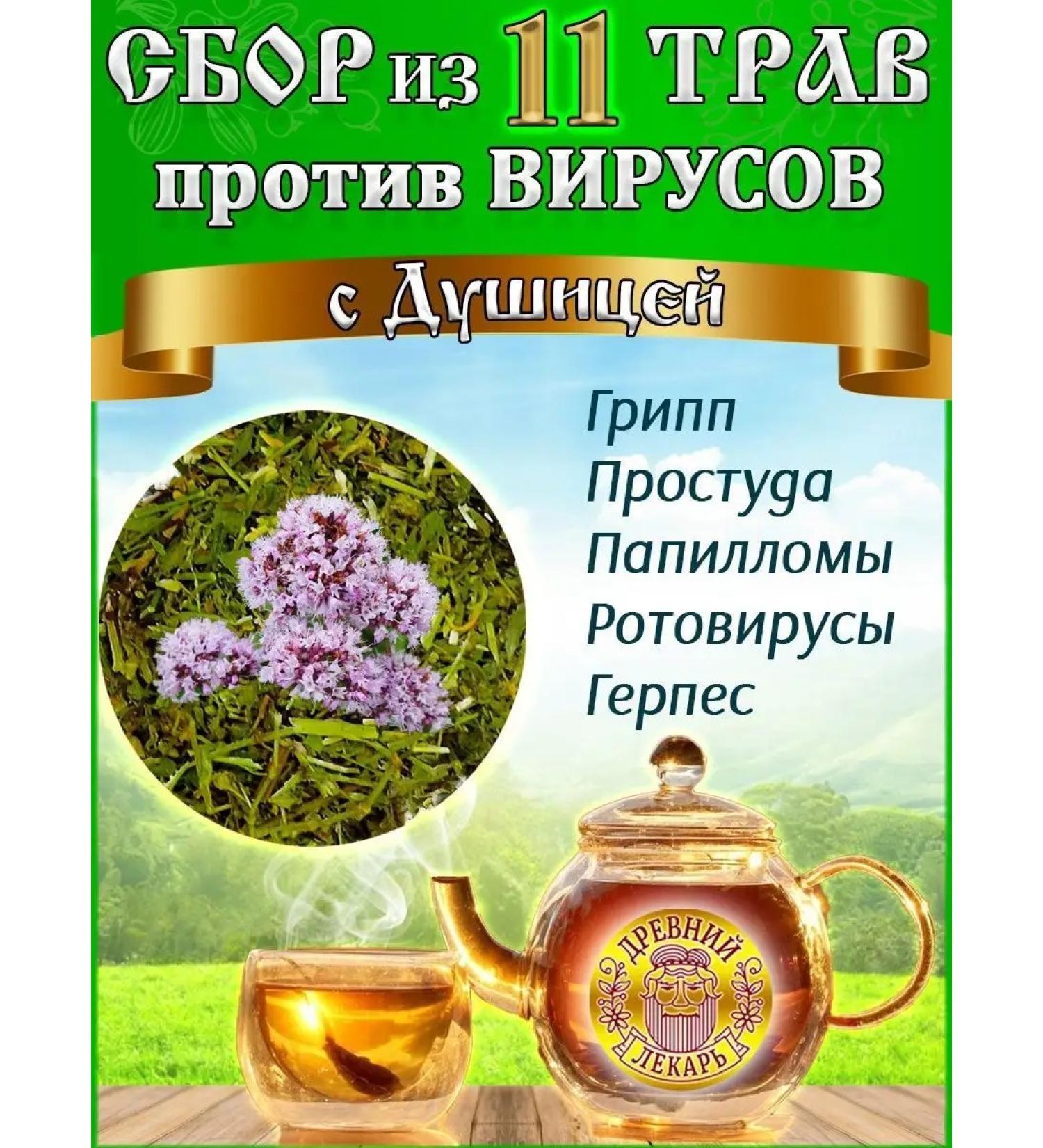Ancient Healer Antiviral collection on Altai herbs - Buy Online on GoSupps.com