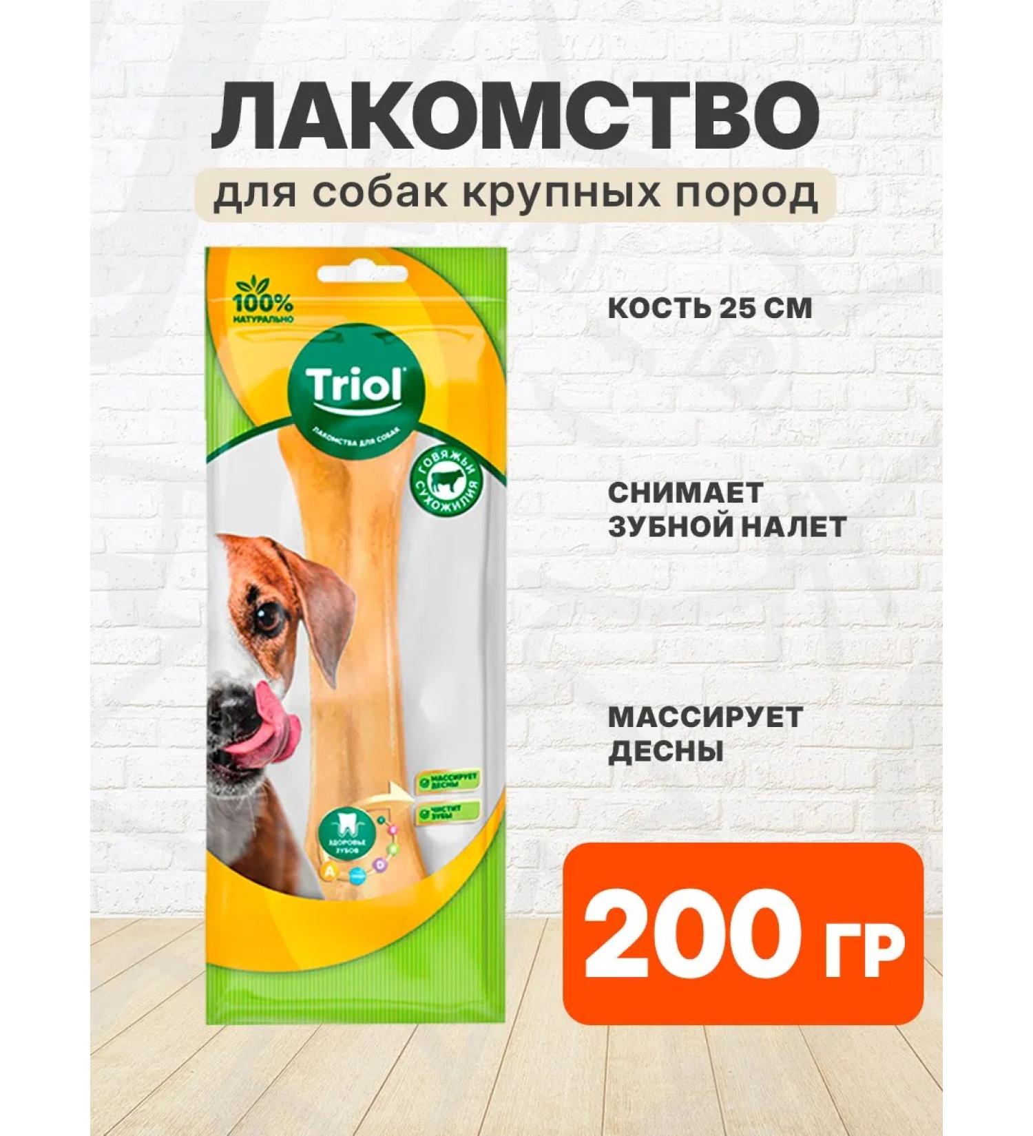 Triol Bone bone for teeth of dogs 25 cm - Buy Online on GoSupps.com