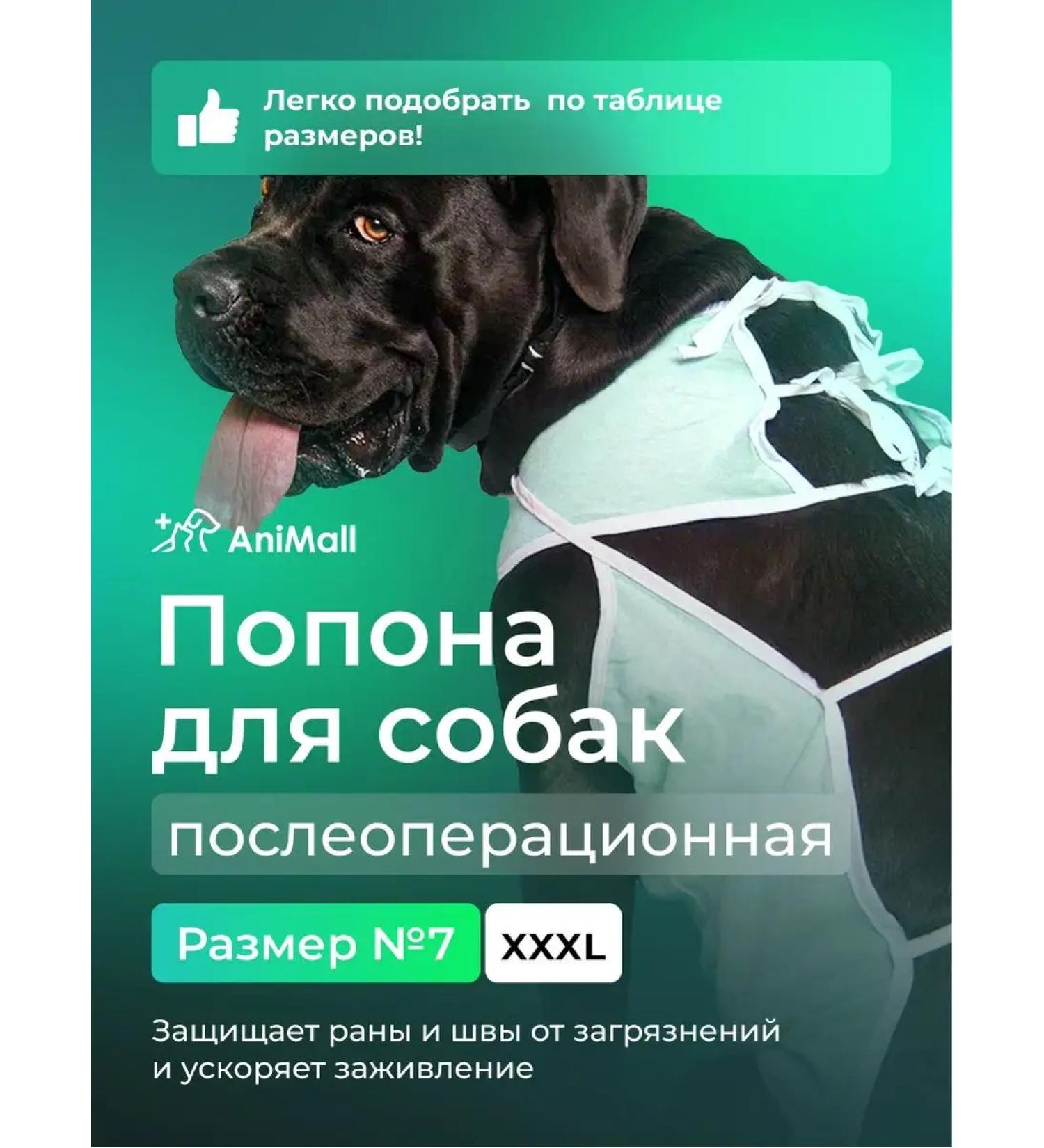 AniMall Popon for dogs postoperative No. 7 - Buy Online on GoSupps.com