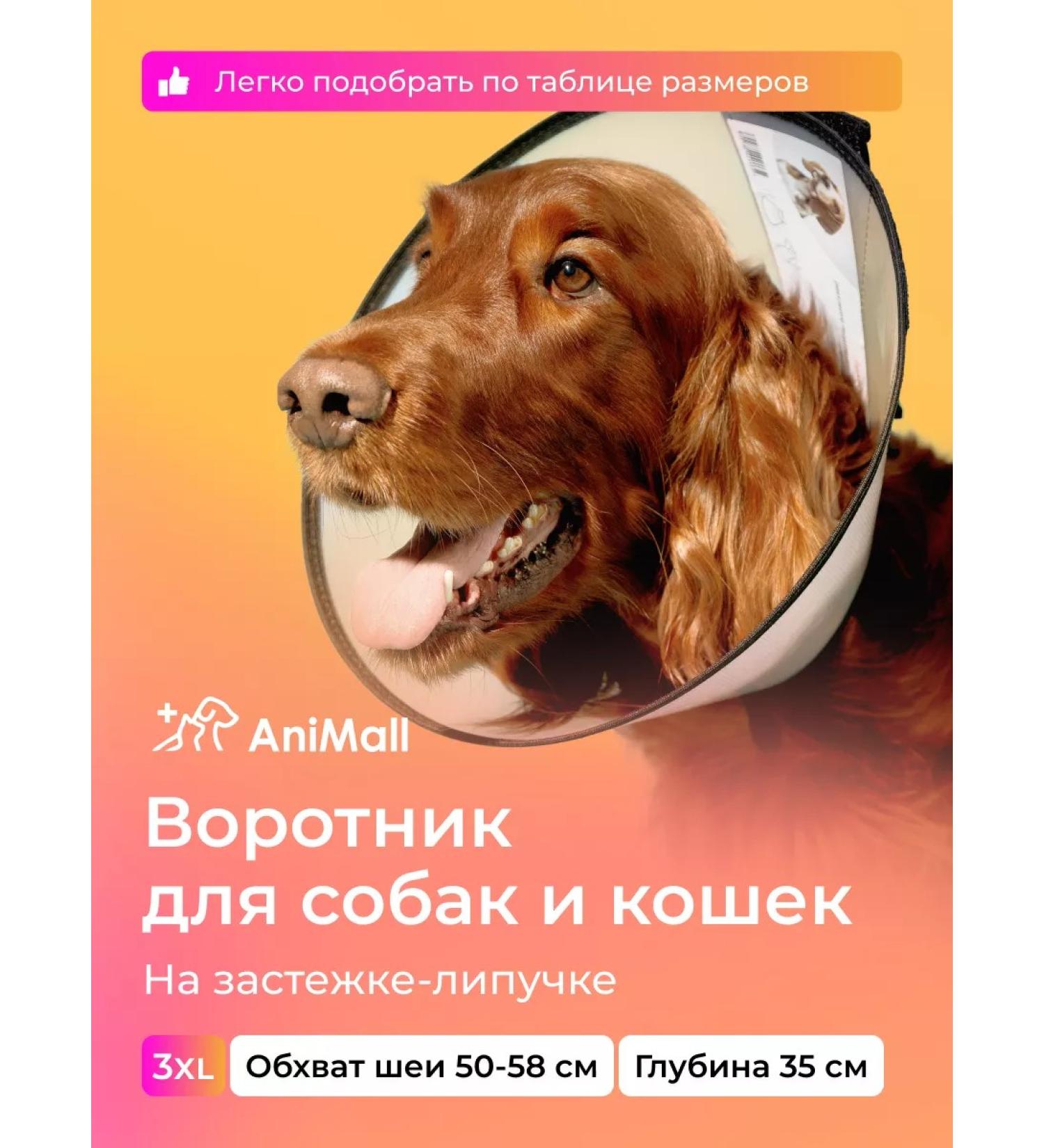 AniMall Protective collar for dogs and cats No. 35 cm on Velcro - Buy Online on GoSupps.com