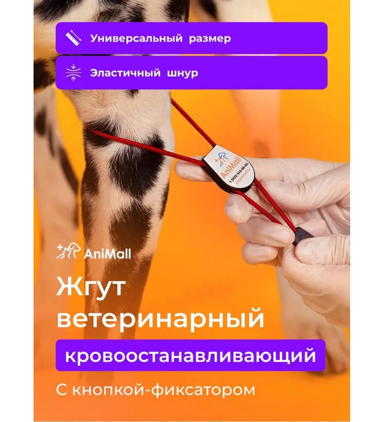 AniMall Building hemostatic with a latch red - Buy Online on GoSupps.com