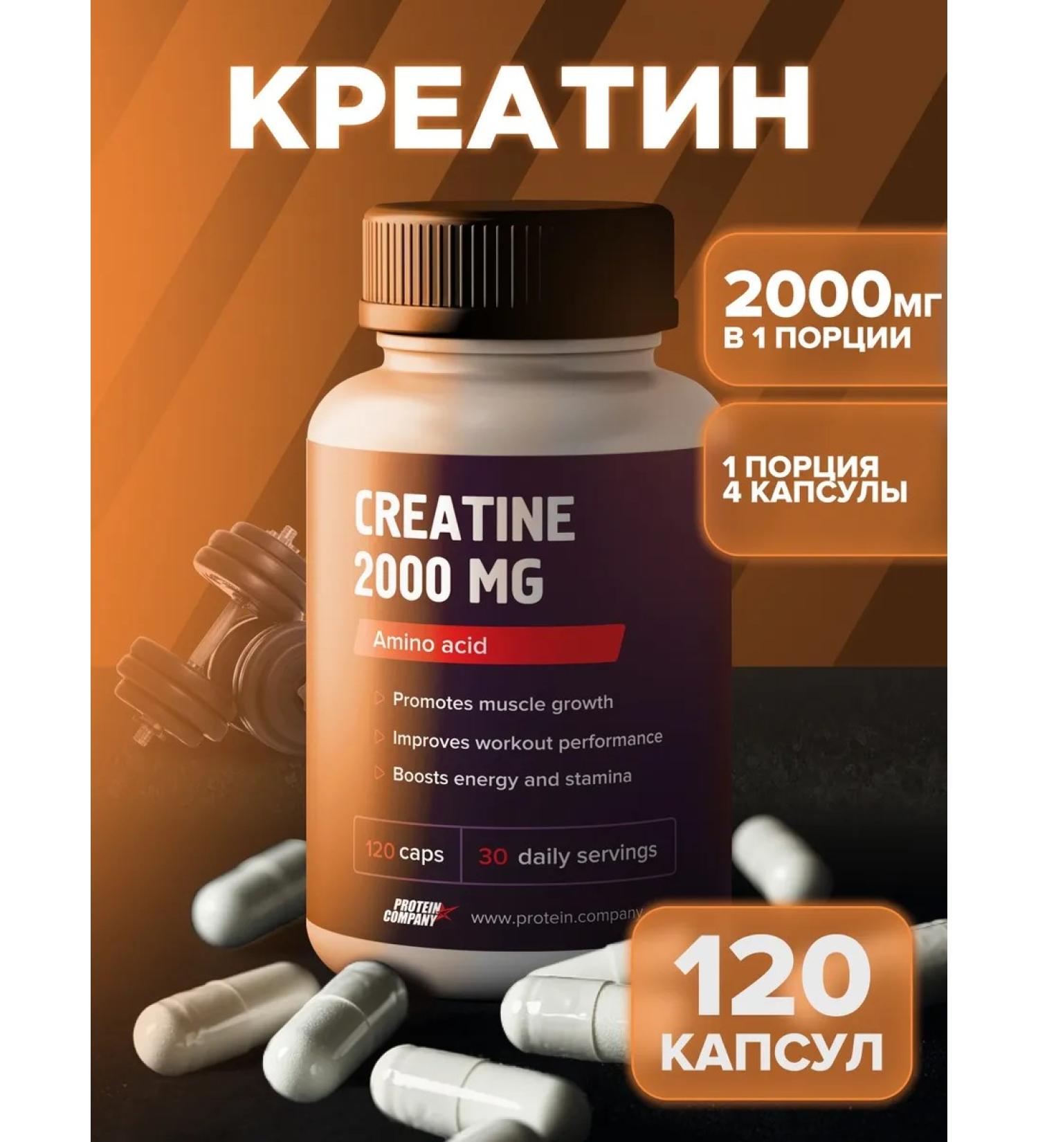 PROTEINCOMPANY Creatine in capsules 120 pcs - Buy Online on GoSupps.com