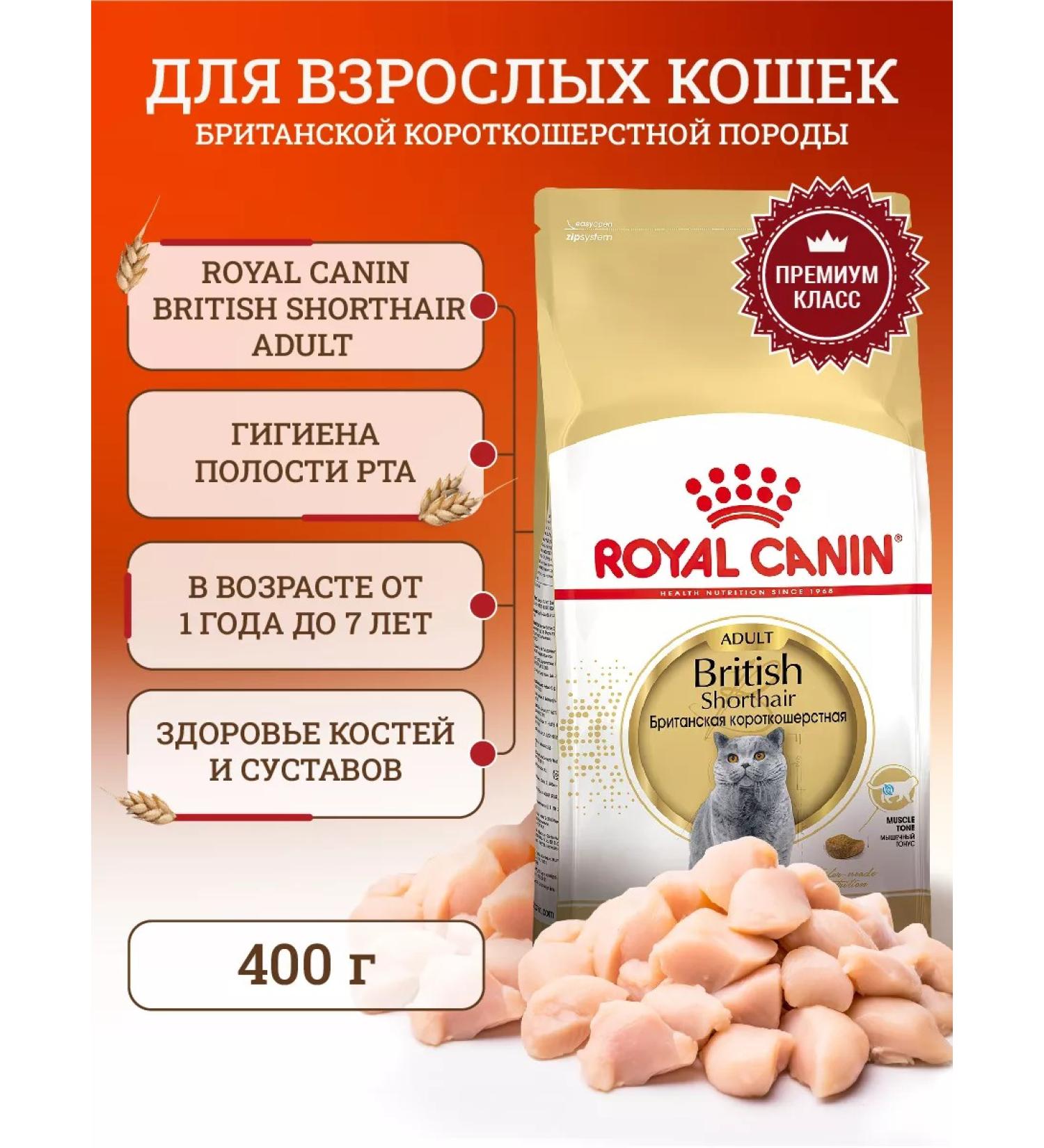 ROYAL CANIN Dry food for British cats 400 g - Buy Online on GoSupps.com