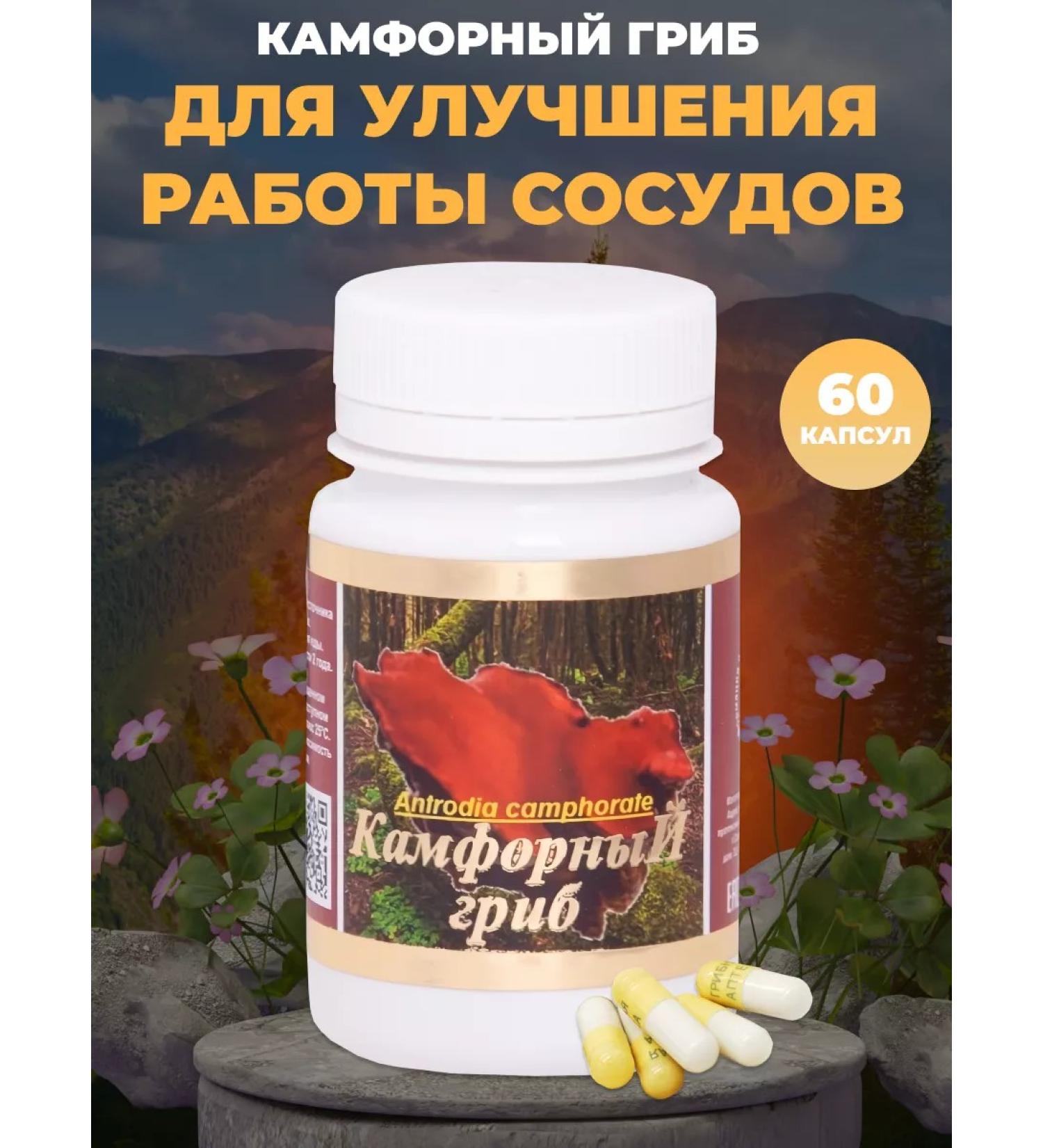 Honey and Jam Camphor mushroom (Anthrodia) 60 caps. 65 mg. pl. jar - Buy Online on GoSupps.com