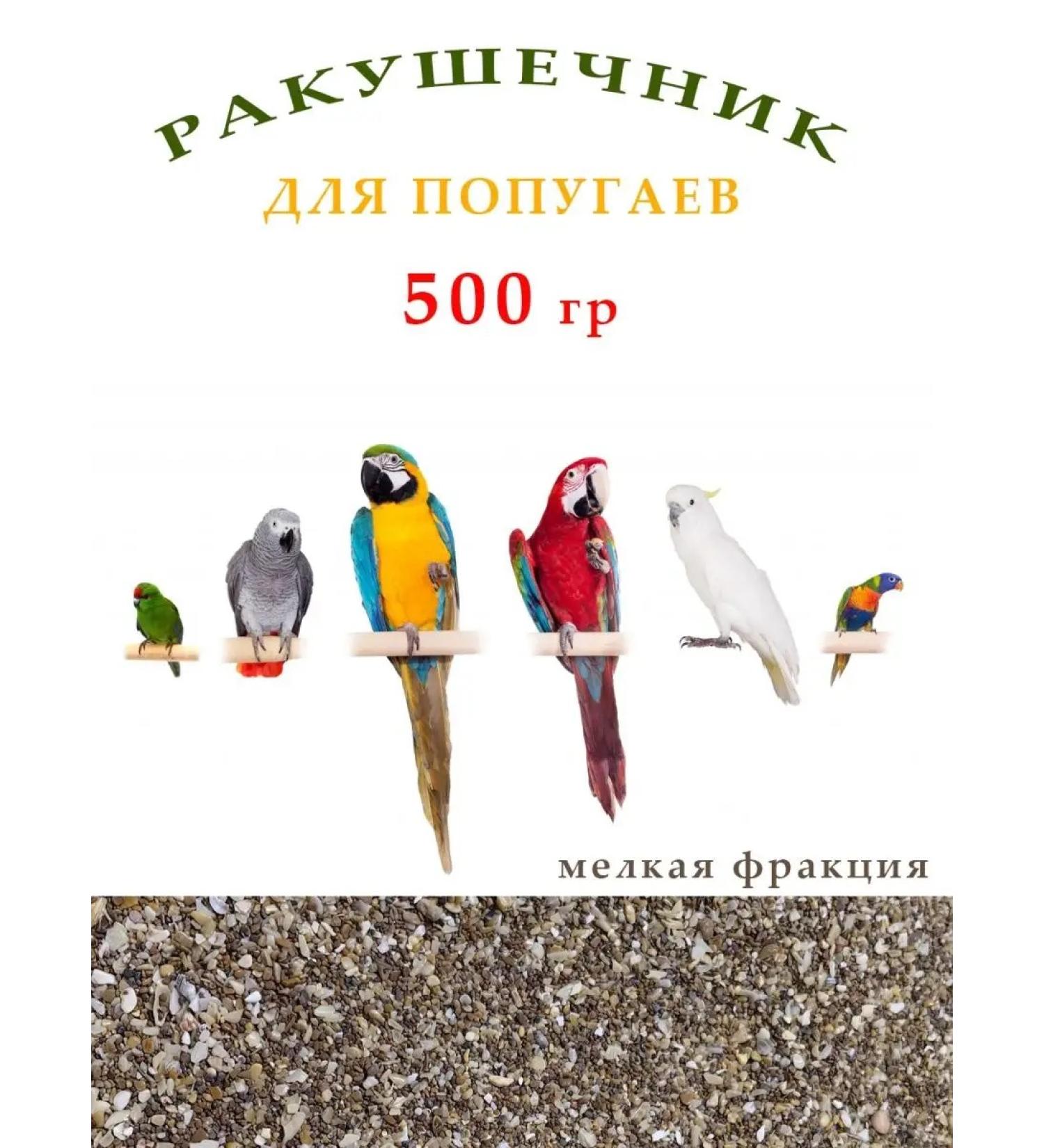 FAVORITES Shell for parrots - Buy Online on GoSupps.com