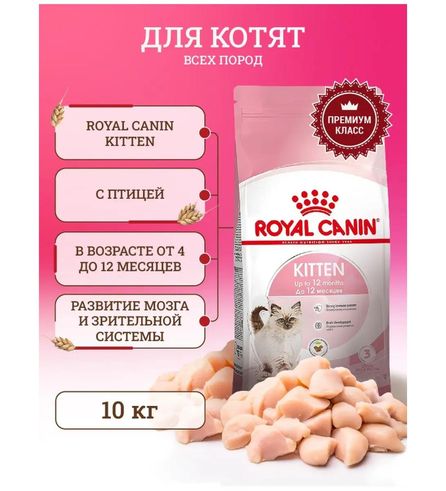 ROYAL CANIN Kitten Kanin Kanin Kanin - 10 kg - Buy Online on GoSupps.com