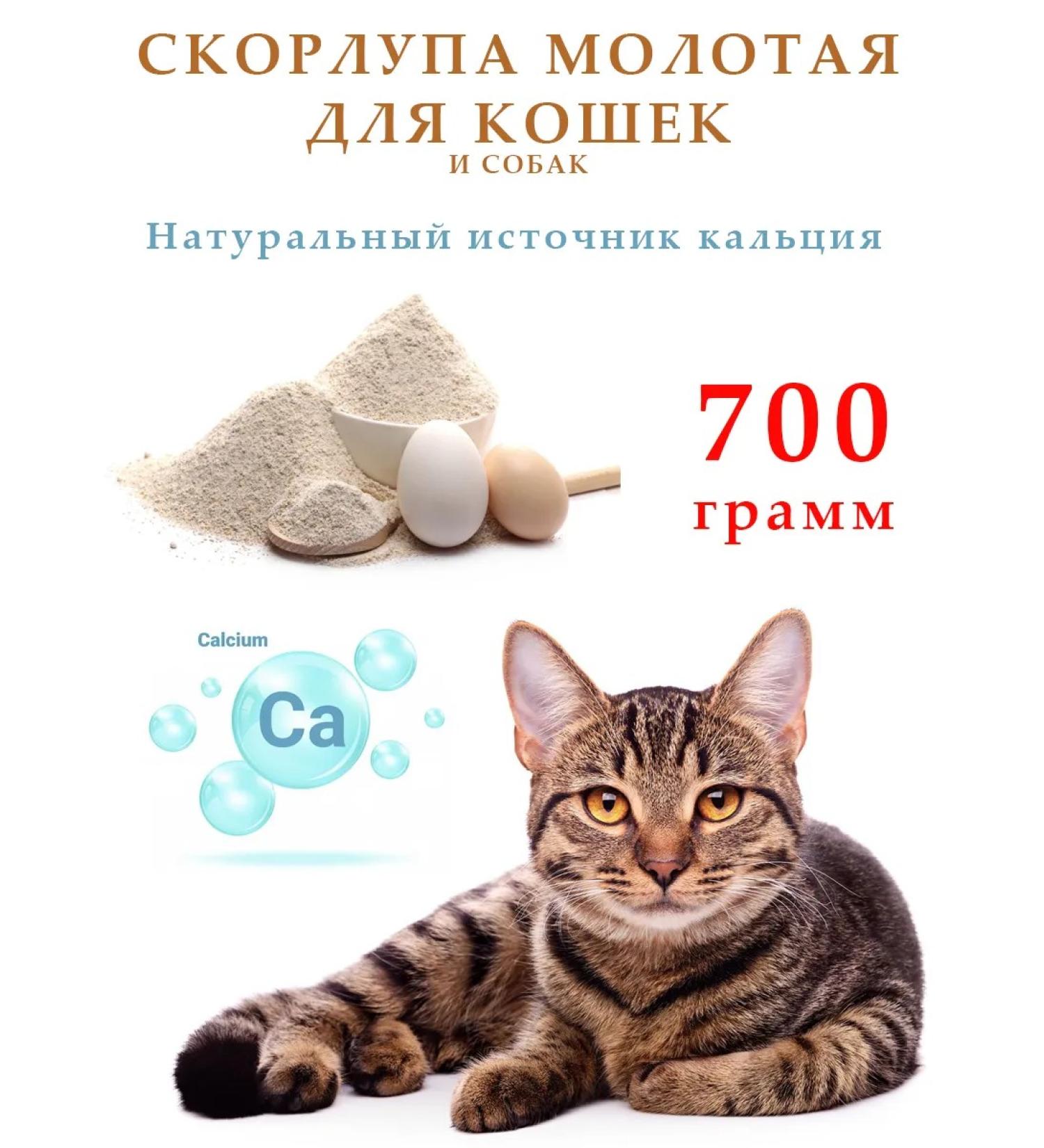 FAVORITES Ground shell for cats - Buy Online on GoSupps.com