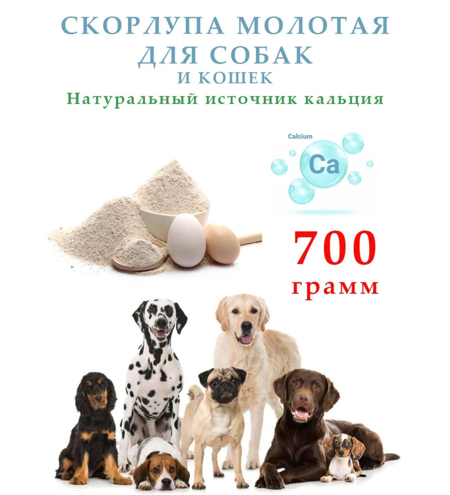 FAVORITES Ground shell for dogs - Buy Online on GoSupps.com