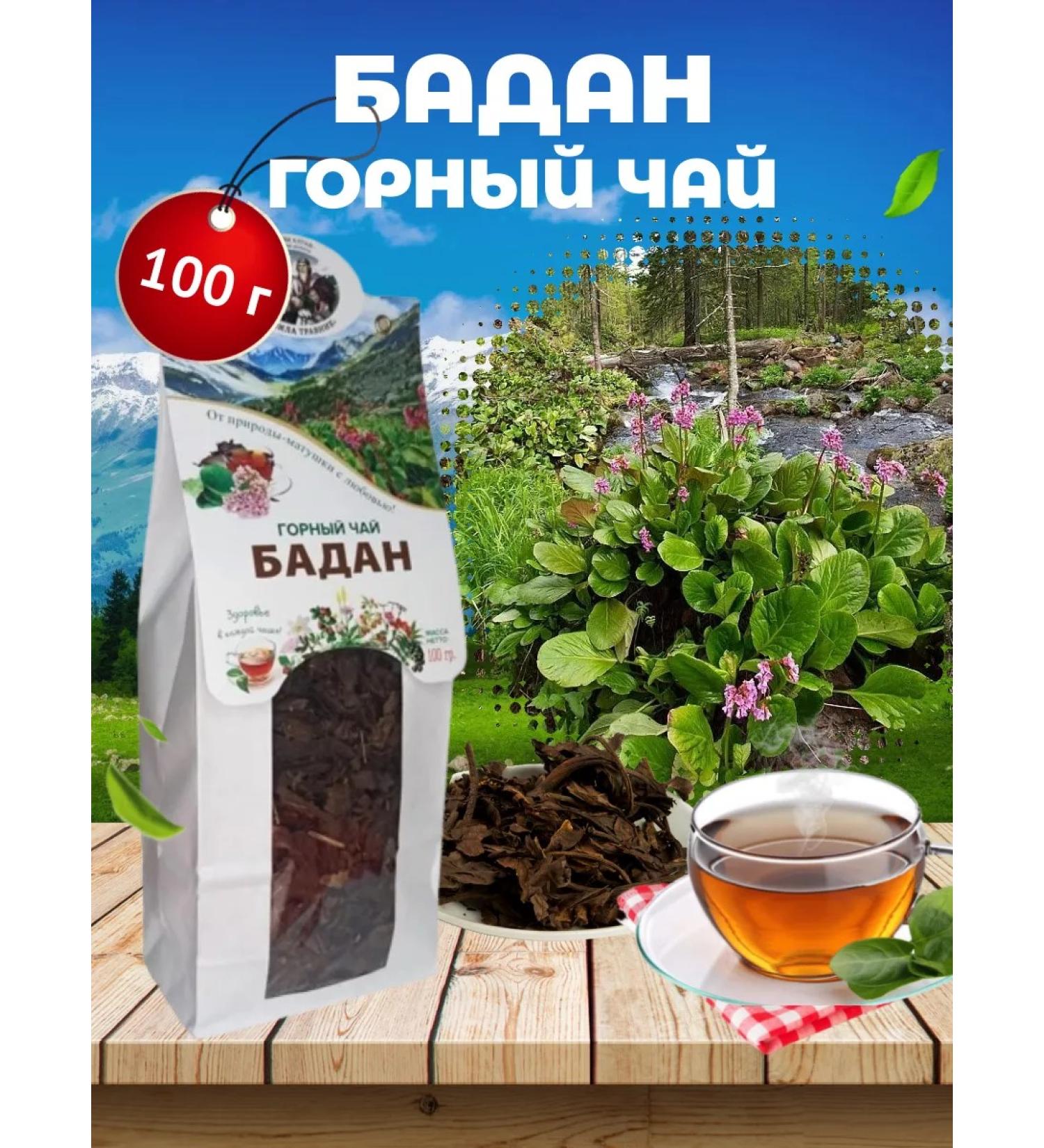 Danila Travnik Badan Mountain Tea Altai Tonizing - Buy Online on GoSupps.com