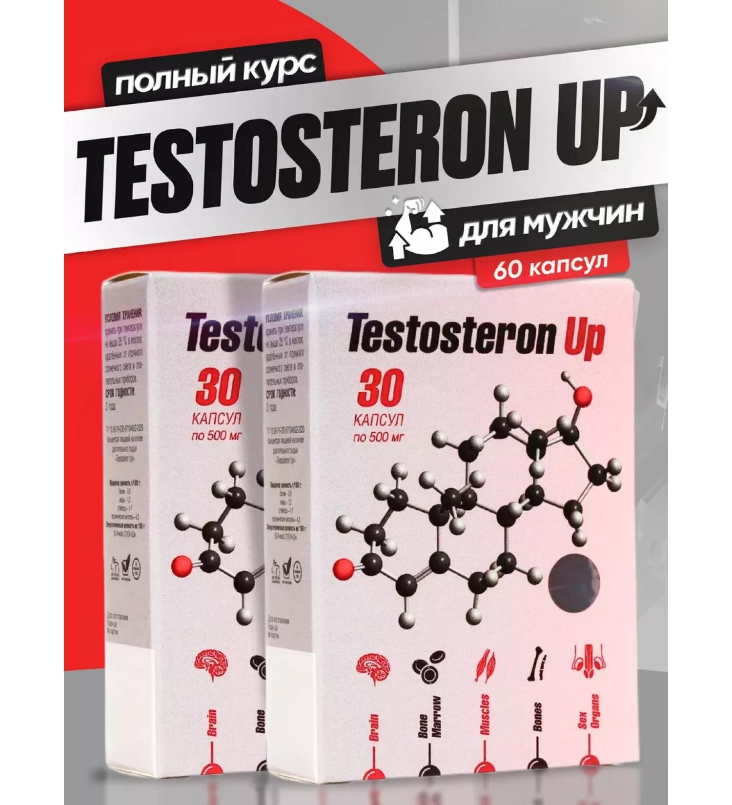 Sashera Testosterone. Testosteron Up. Testosterone booster 2 pcs - Buy Online on GoSupps.com