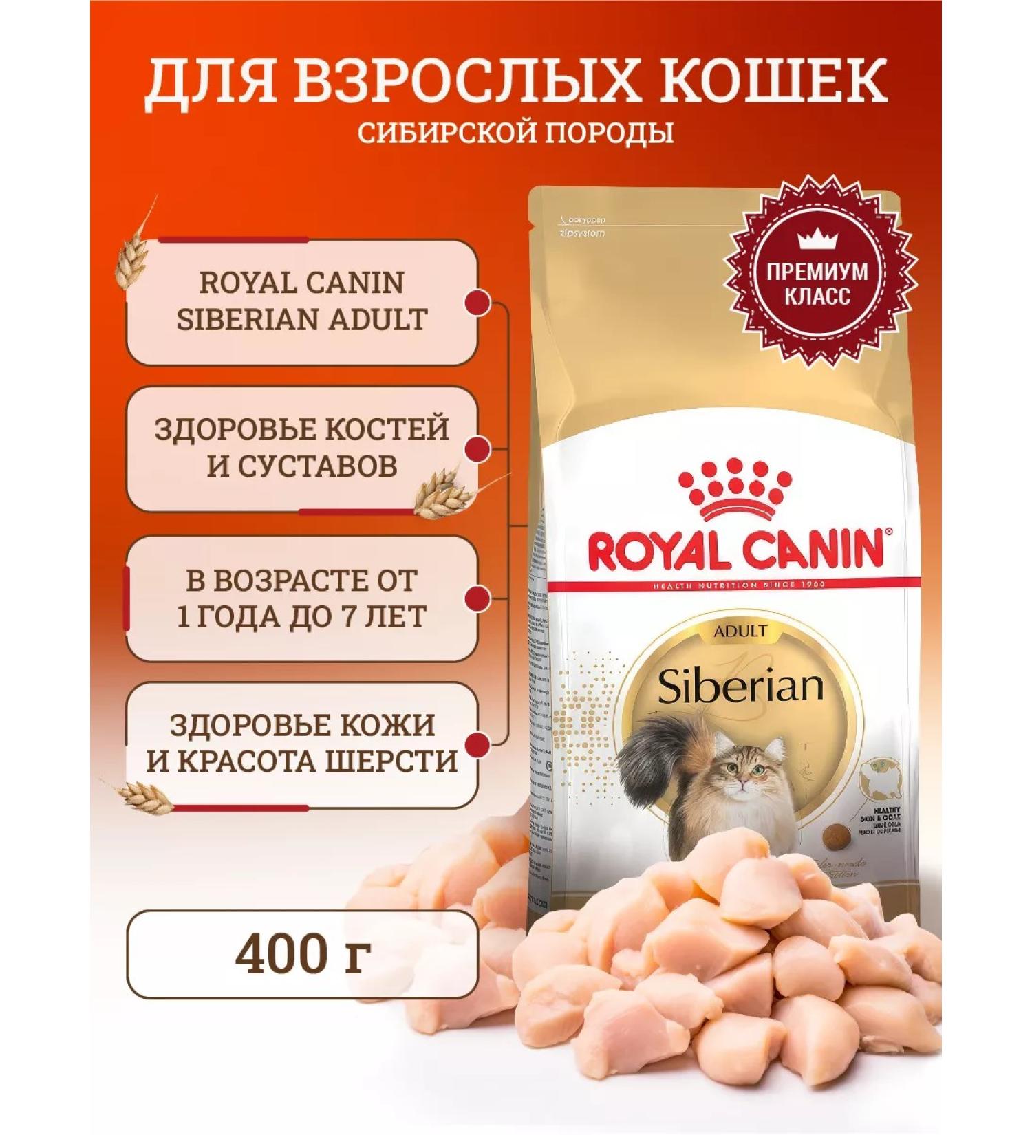 ROYAL CANIN Dry food for cats Siberian Adult 400 g - Buy Online on GoSupps.com