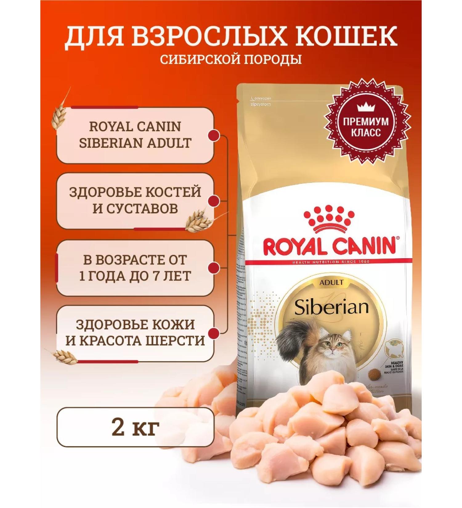 ROYAL CANIN Dry food for cats Siberian Adult 2 kg - Buy Online on GoSupps.com