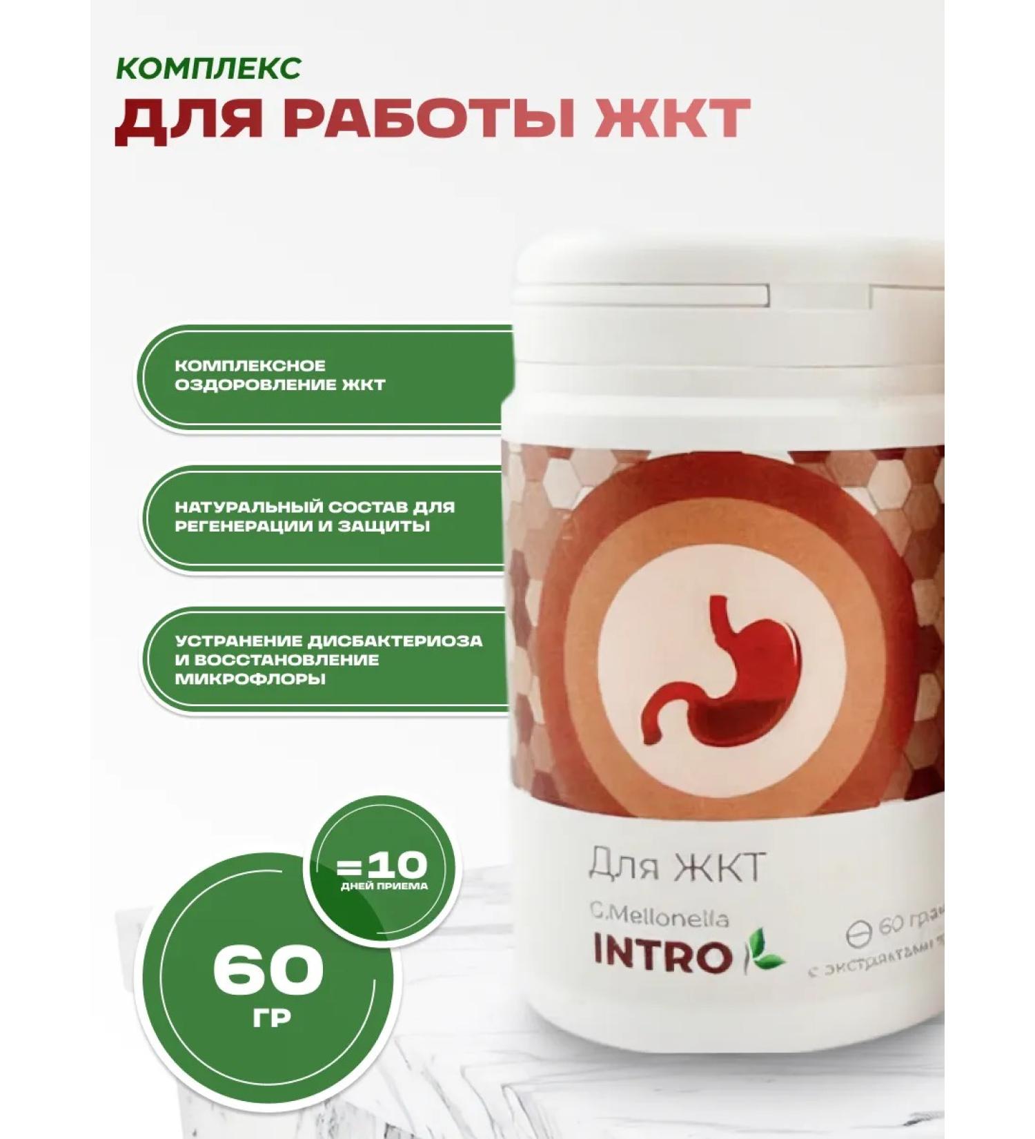 Honey and Jam Galeria Melonella Intro for gastrointestinal tract g.mellonella intro 60 granules - Buy Online on GoSupps.com