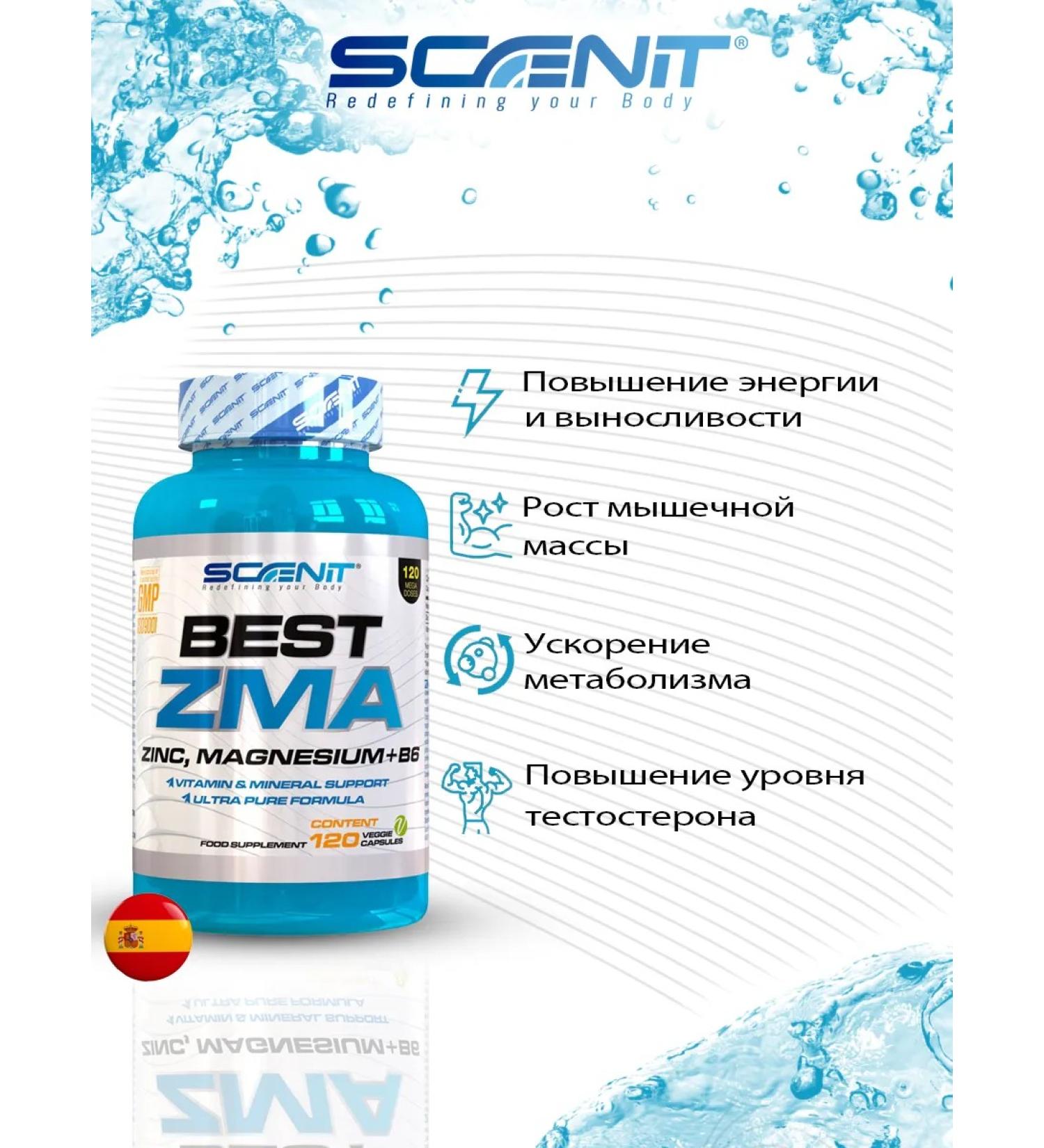 Scenit Nutrition ZMA testosterone booster - 120 capsules - Buy Online on GoSupps.com