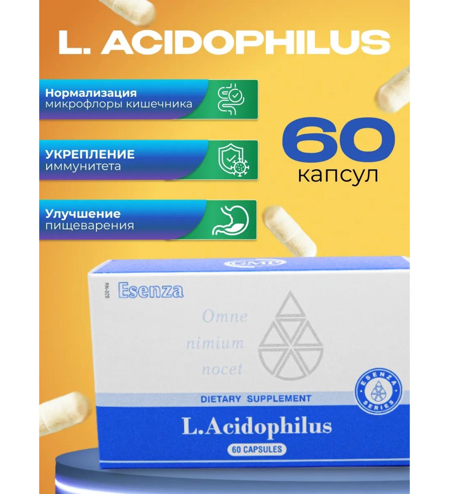 Santegra Probiotics and prebiotics L'Cidophilus - Buy Online on GoSupps.com