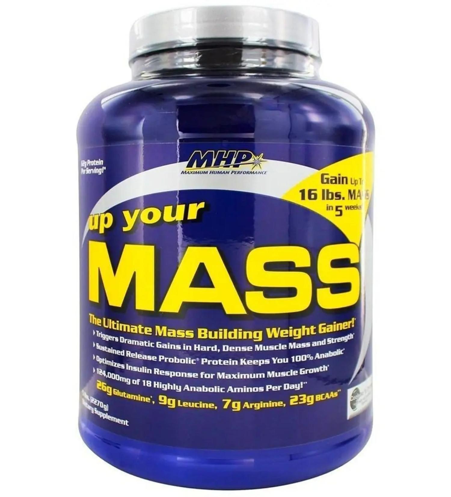 SputP Heiner Up Your Mass 2094 Braunny grams - Buy Online on GoSupps.com