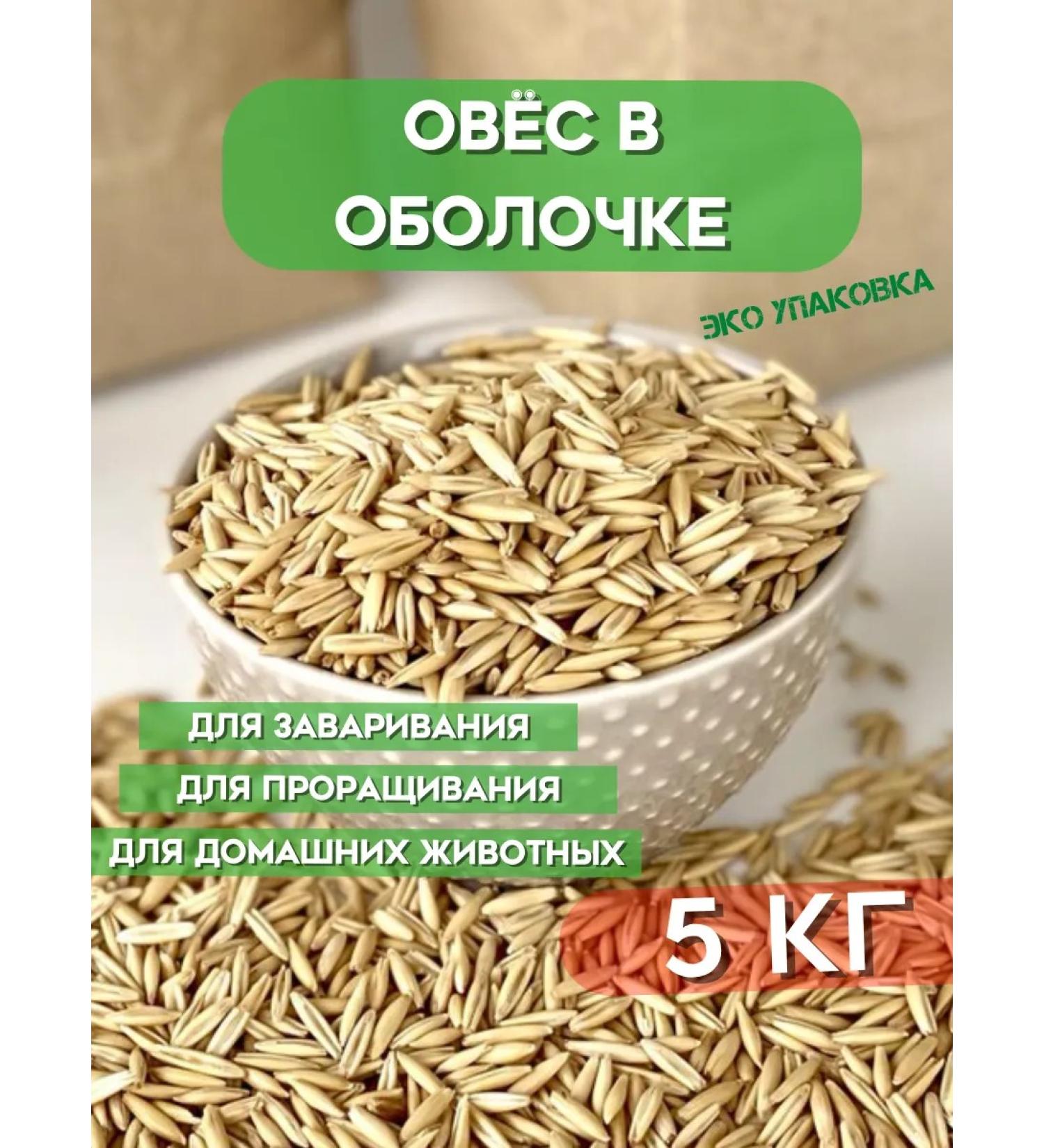 Greennation Oats Oats in the shell for brewing and germinating - Buy Online on GoSupps.com