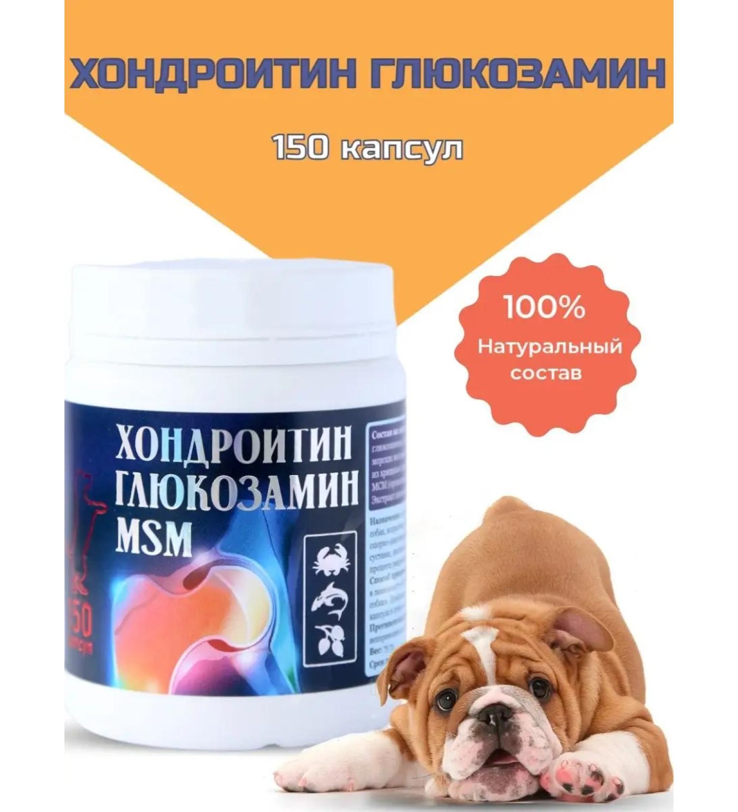 Silver Trail Chondroitin glucosamine MSM 150 capsules - Buy Online on GoSupps.com