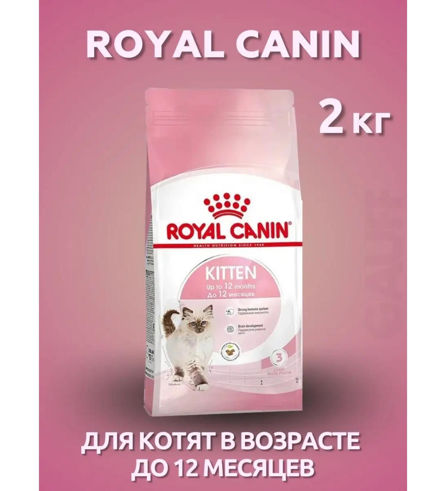ROYAL CANIN Kitten dry kittens up to 12 months 2 kg - Buy Online on GoSupps.com