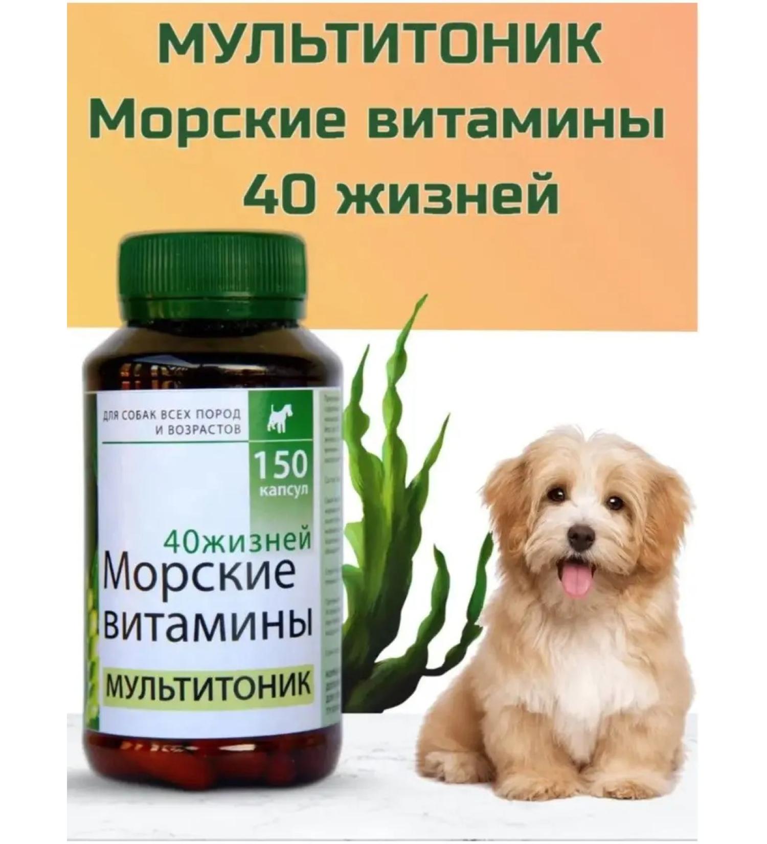 Silver Trail Multitonik "40 lives" 150 capsules