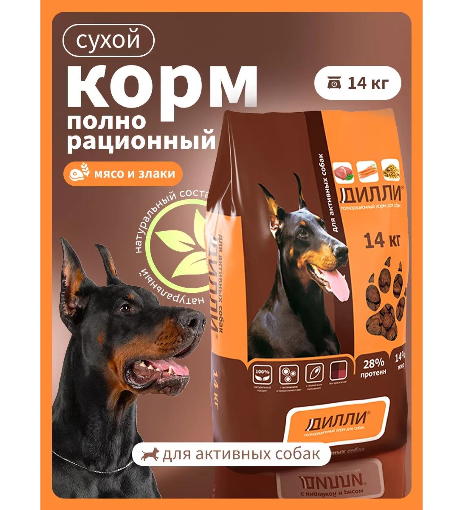 DILLY Sund food for active dogs 14kg - Buy Online on GoSupps.com