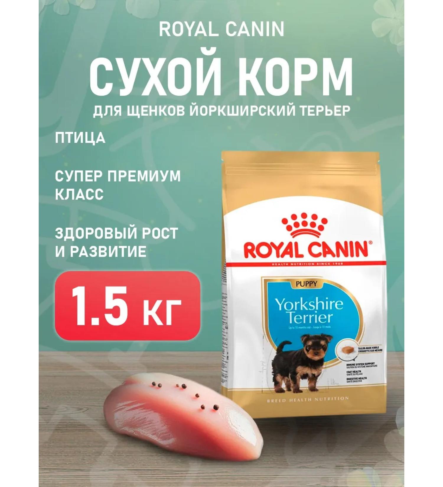 ROYAL CANIN Dry food dry Yorkshire Terrier for puppies 1.5 kg - Buy Online on GoSupps.com