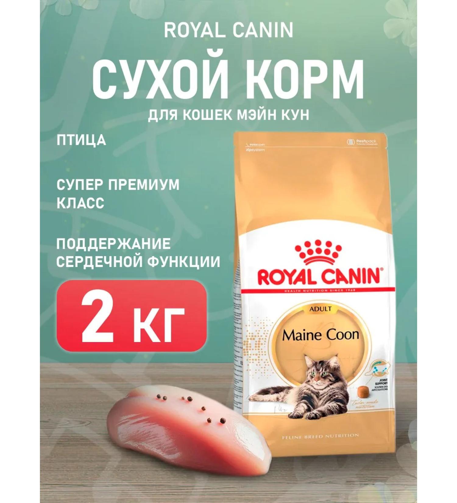 ROYAL CANIN Dry Main Coon Feed for Cats Main Kun 2 kg - Buy Online on GoSupps.com