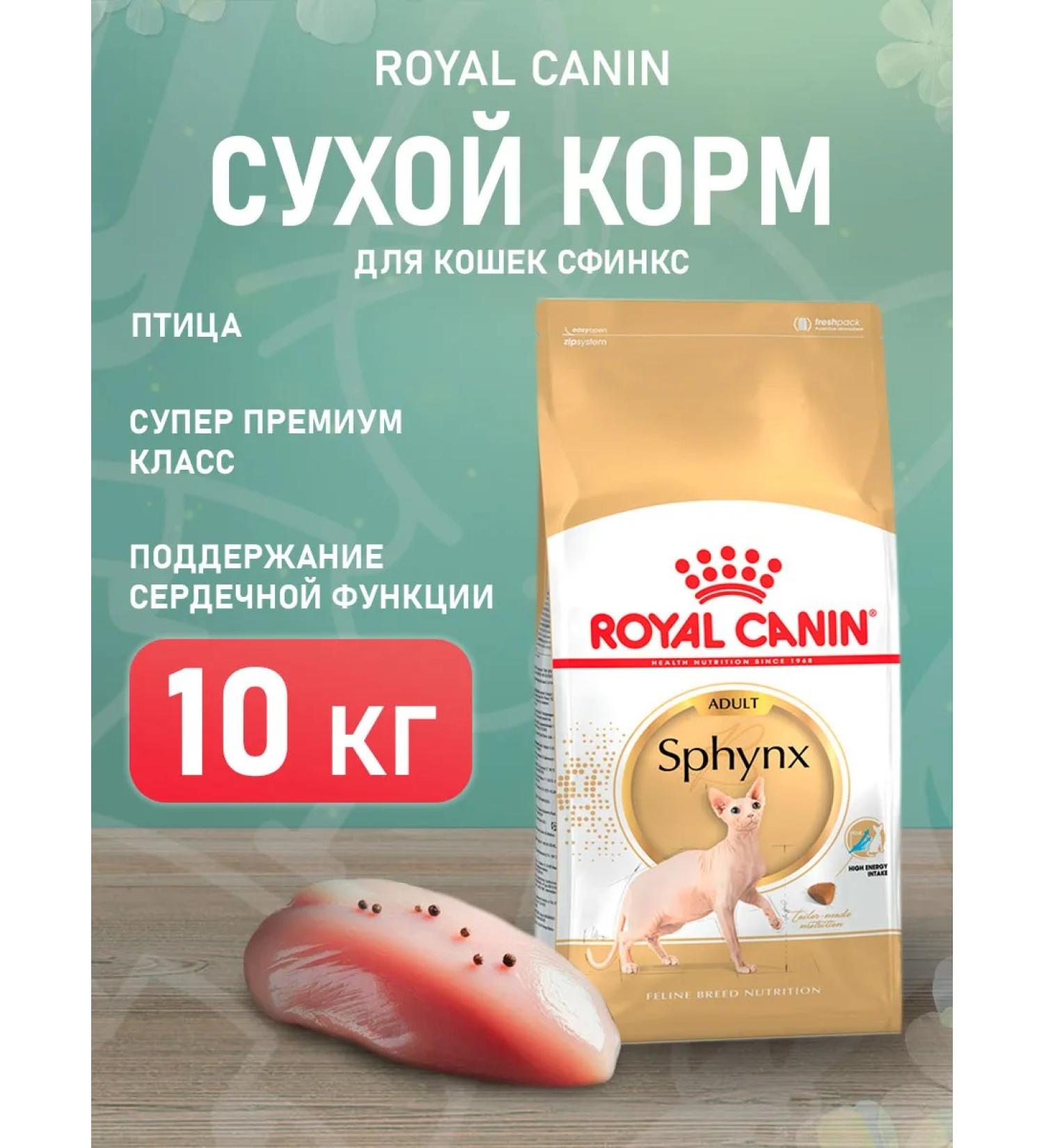 ROYAL CANIN SPHYNX ADULT dry food for sphinx cats 10 kg - Buy Online on GoSupps.com