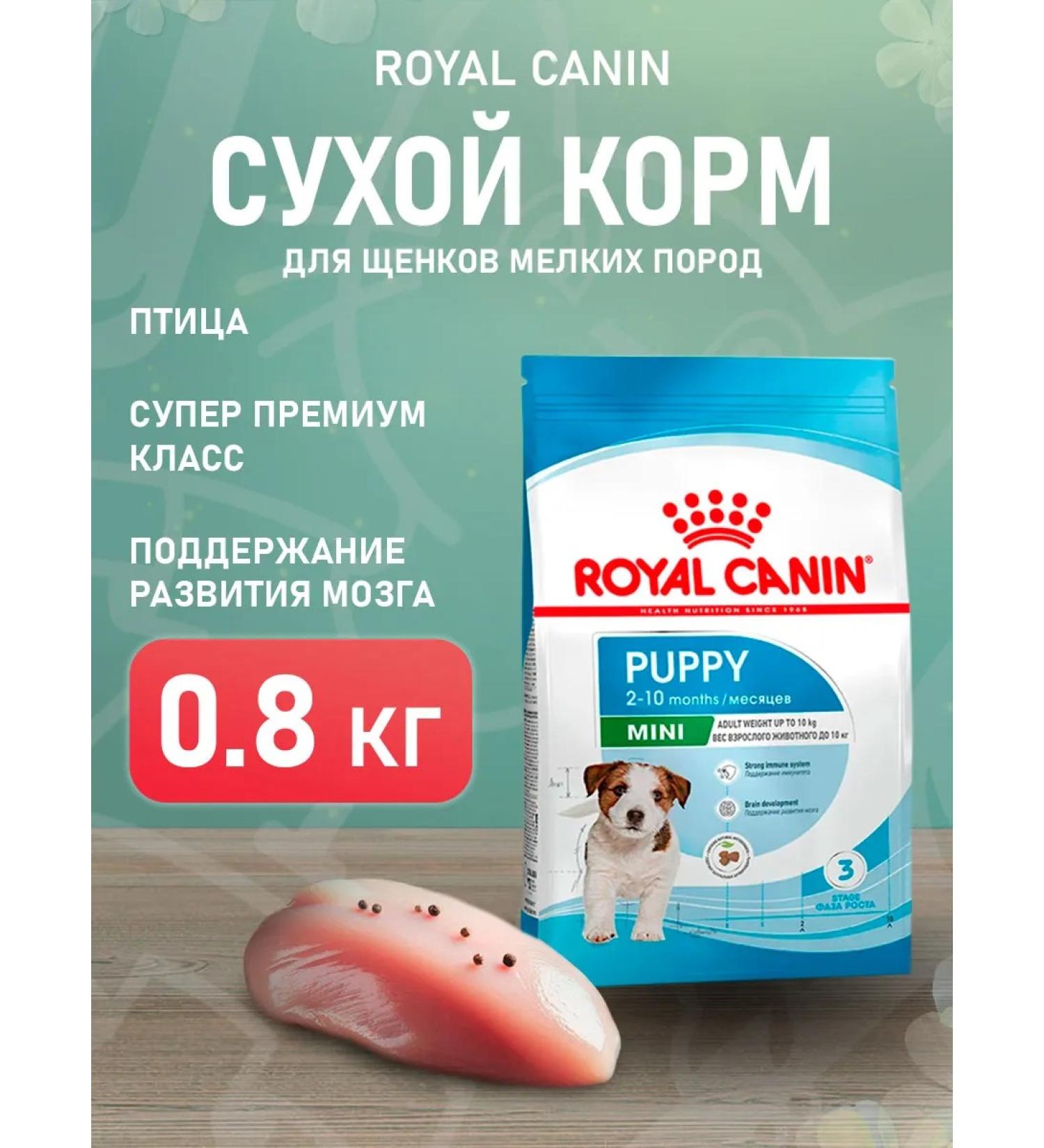 ROYAL CANIN Dry Mini Puppy food for small puppies 0.8 kg - Buy Online on GoSupps.com