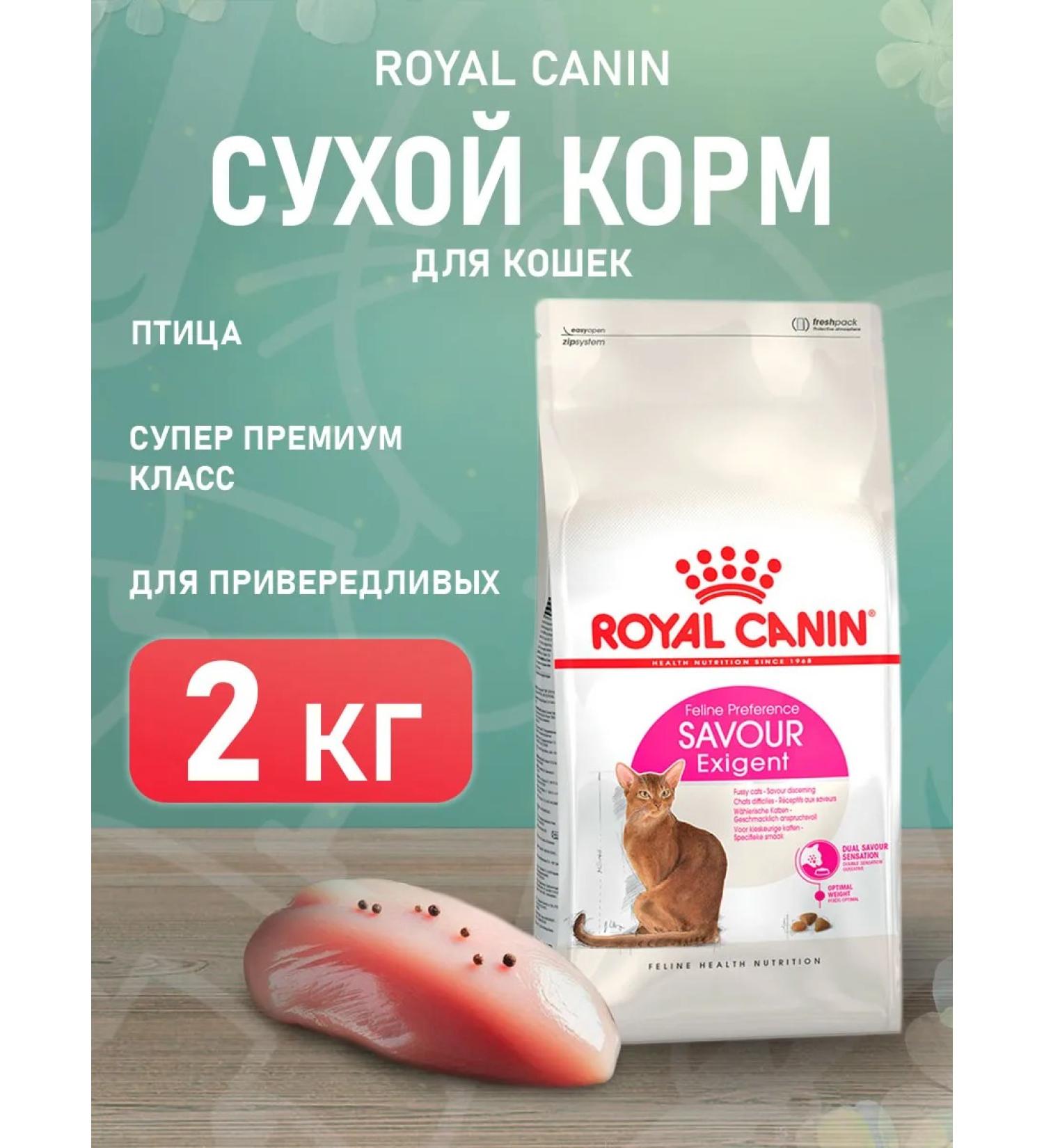ROYAL CANIN Dry Savor Exigent Feed for Fleased Cats 2 kg - Buy Online on GoSupps.com