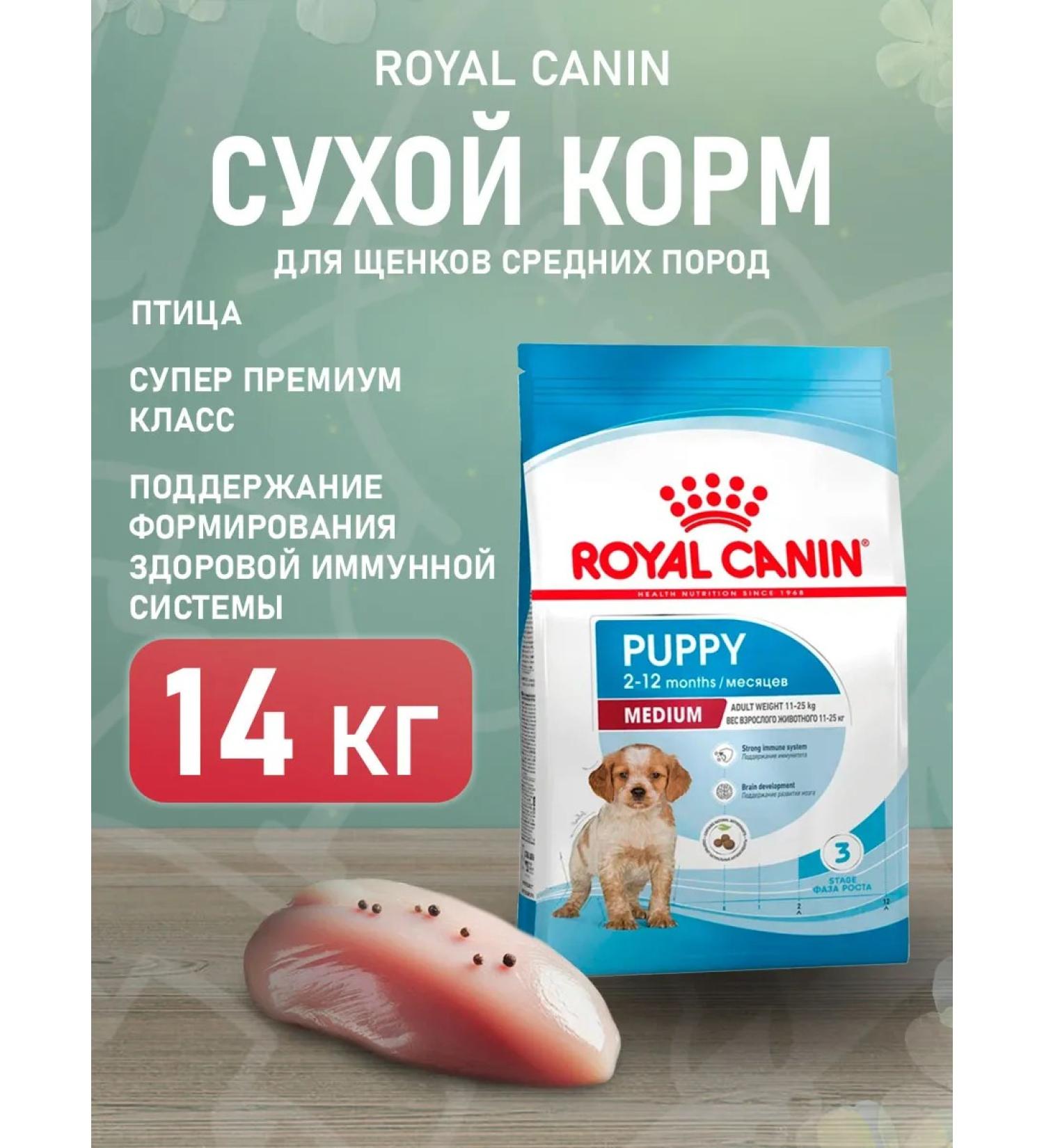 ROYAL CANIN Dog food dry Medium Puppy for medium rocks 14 kg - Buy Online on GoSupps.com