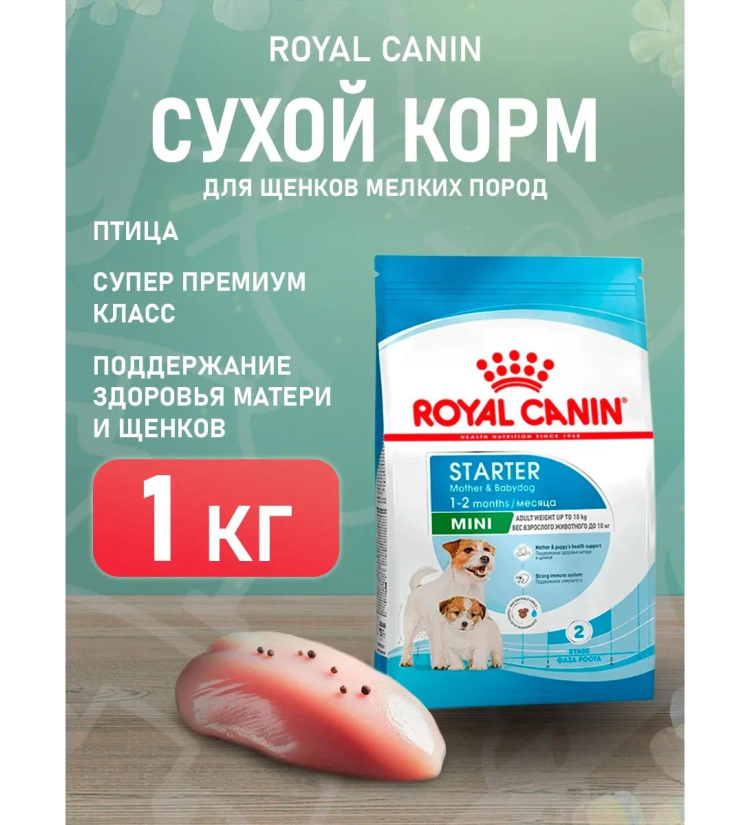 ROYAL CANIN Dry Mini Starter Feed Small Puppies Mini Starter 1 kg - Buy Online on GoSupps.com