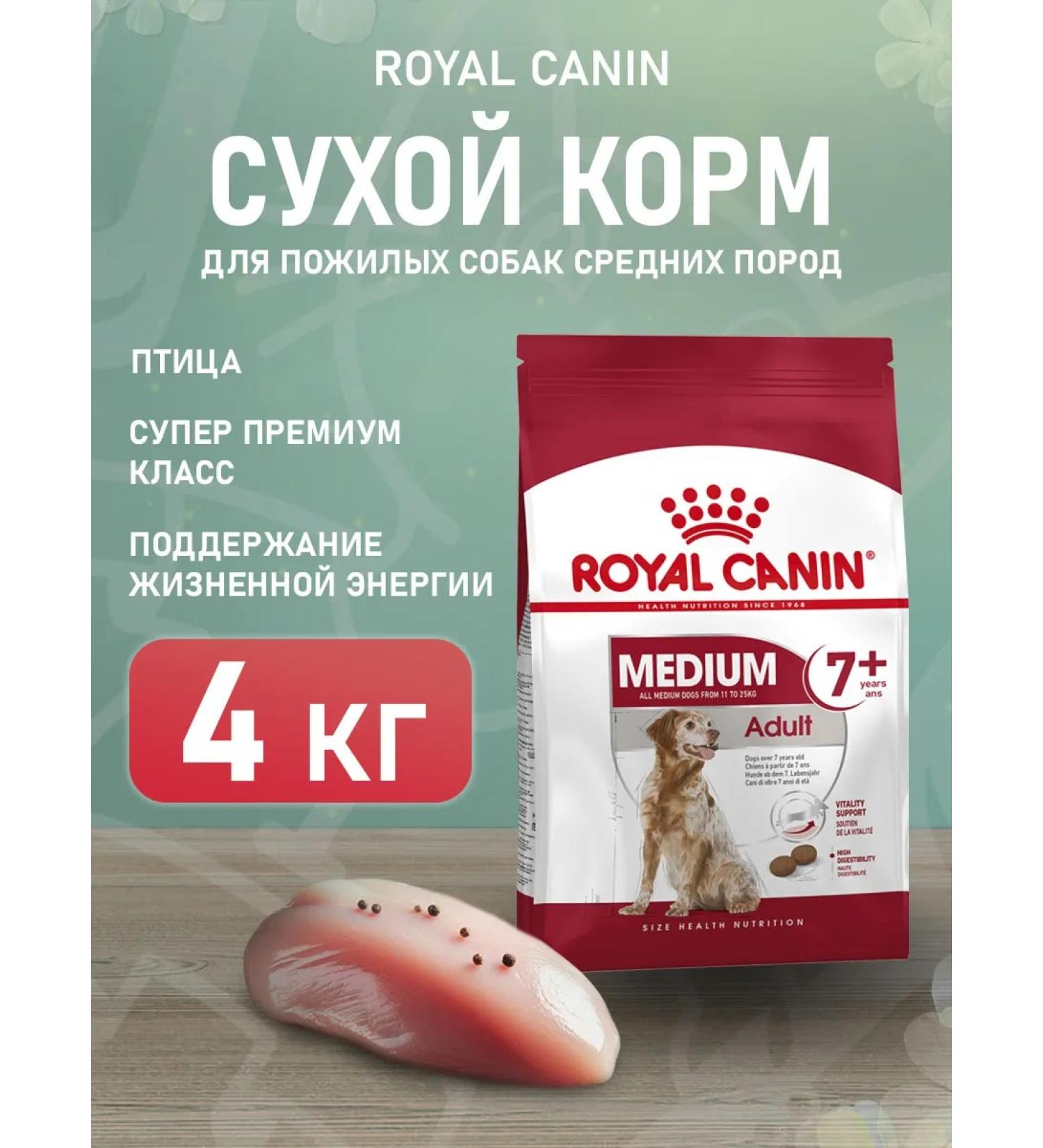 ROYAL CANIN Dog food dry Medium Adult 7+ for medium rocks 4 kg - Buy Online on GoSupps.com