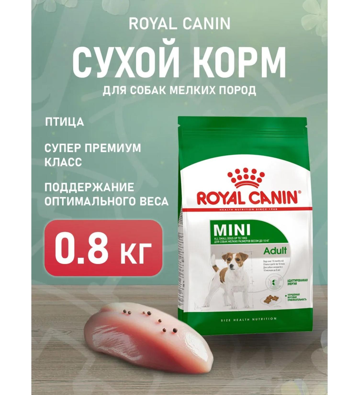 ROYAL CANIN Dry Mini Adult food for dogs of small species 0.8 kg - Buy Online on GoSupps.com