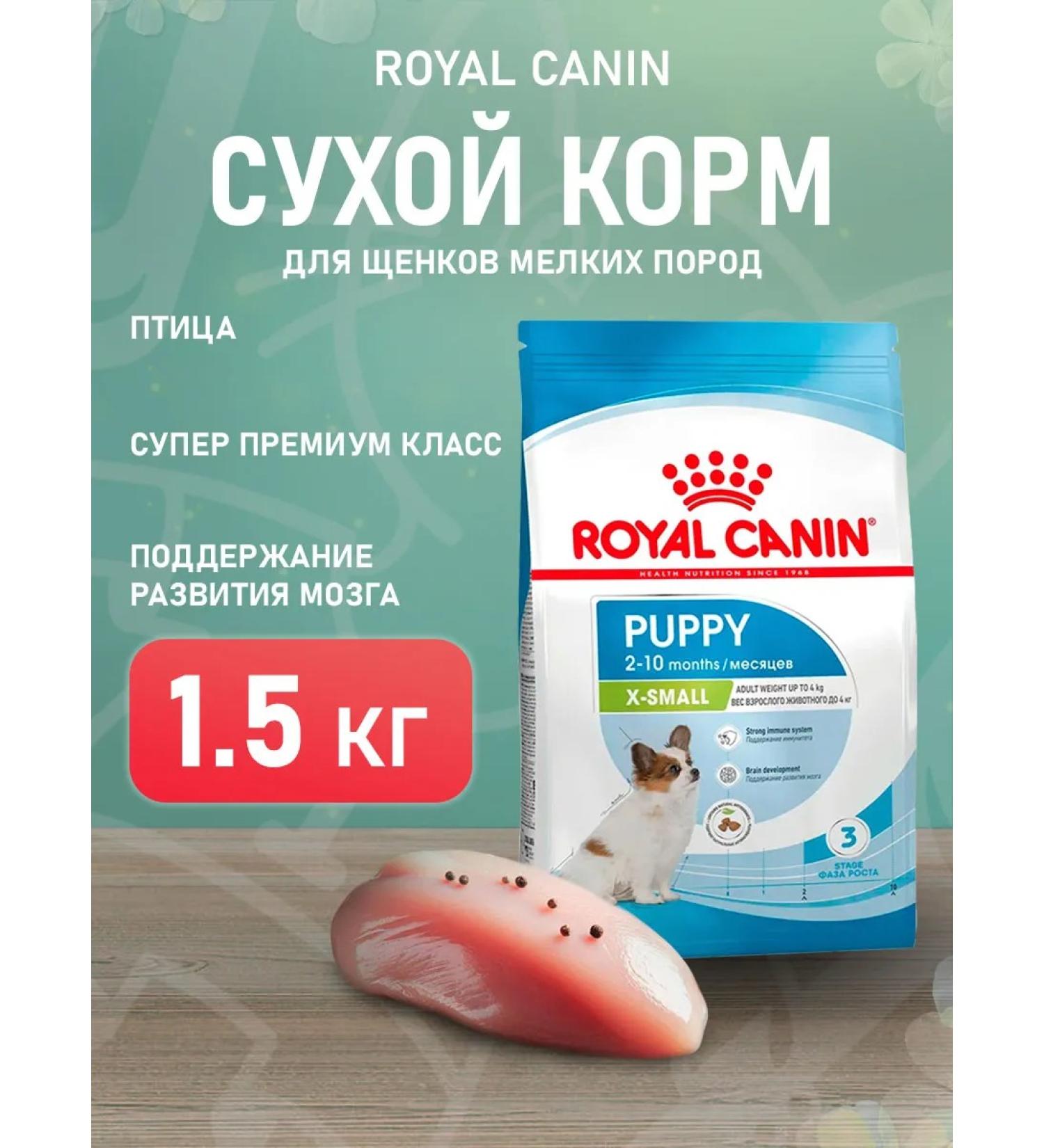 ROYAL CANIN Dog food for dry X-Small Puppy for small puppies 1.5 kg - Buy Online on GoSupps.com