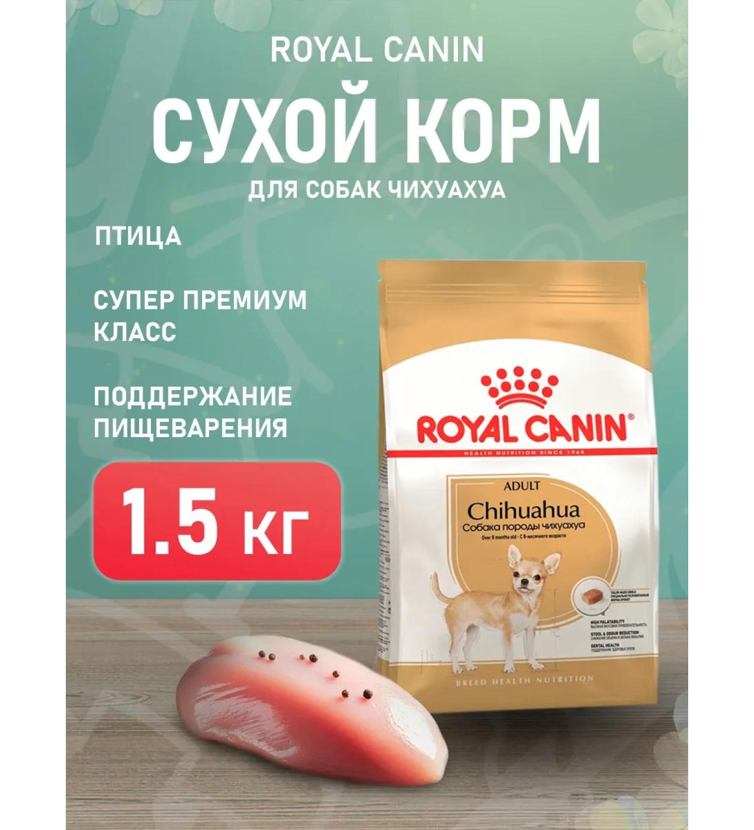 ROYAL CANIN Dog food dry chihuahua adult Chihuahua 1.5 kg - Buy Online on GoSupps.com