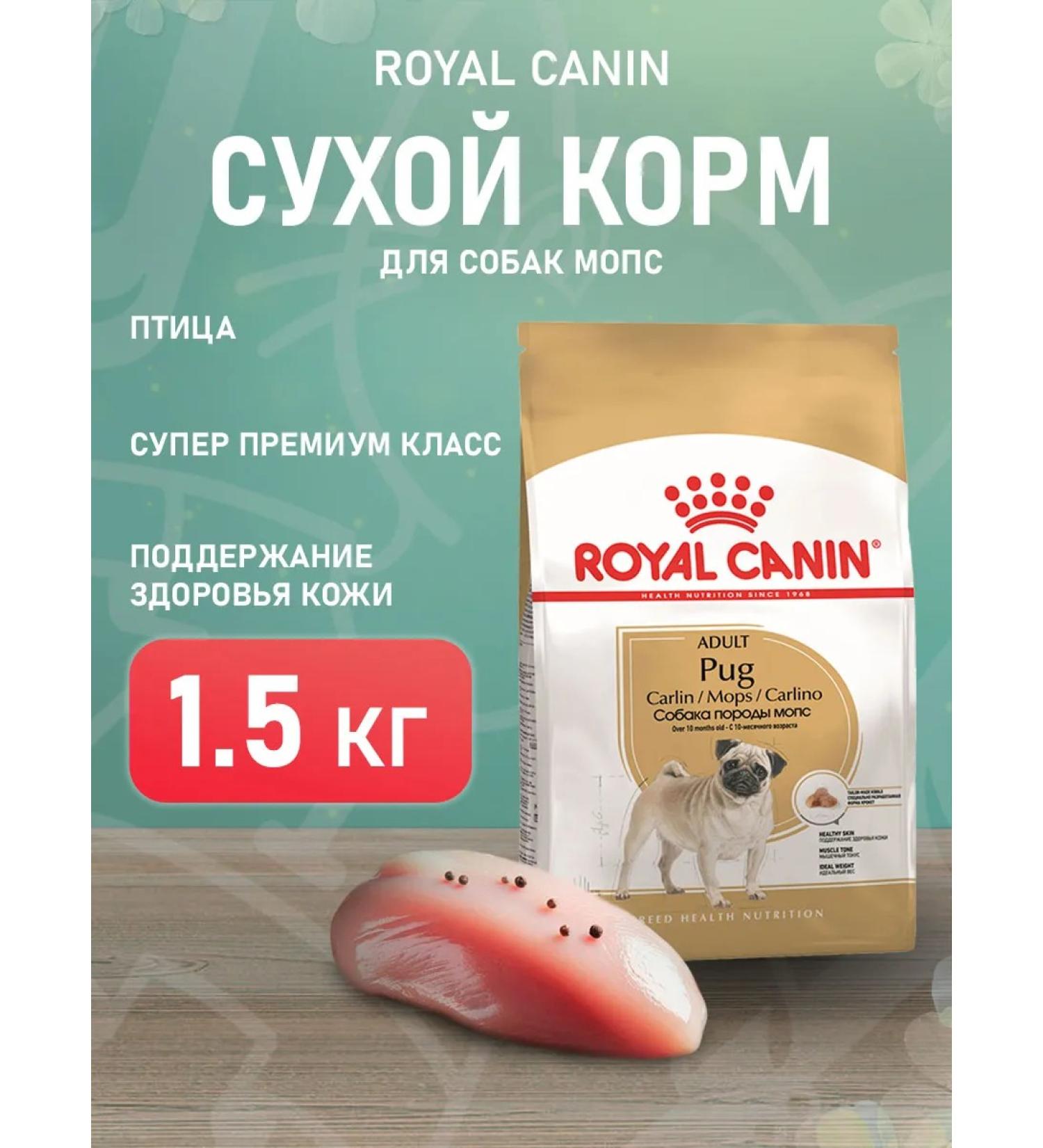 ROYAL CANIN Dog food dry pug adult pug 1.5 kg - Buy Online on GoSupps.com
