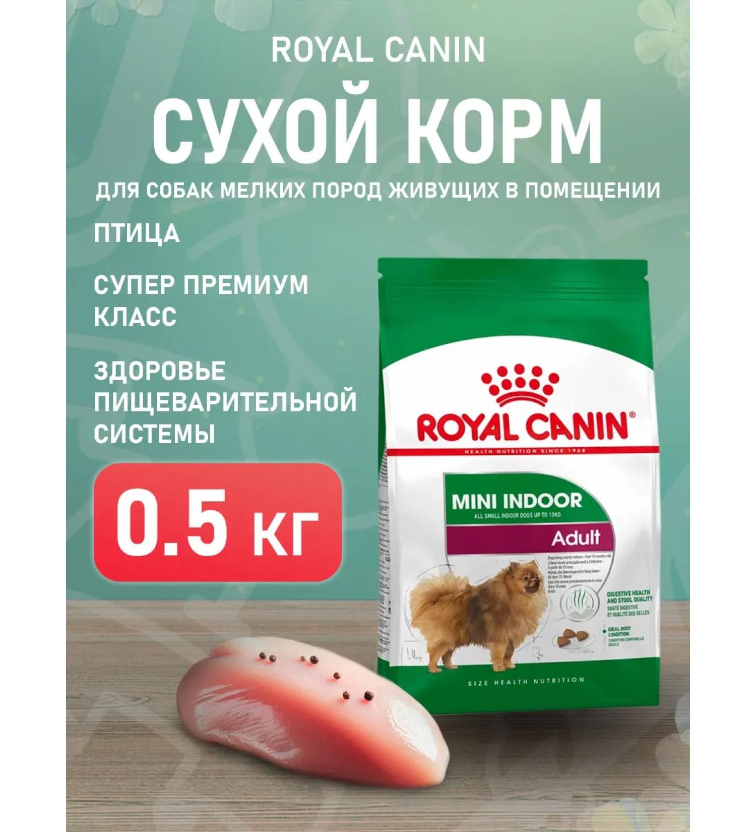 ROYAL CANIN Mini Indoor Life Adult food for small dogs Indodor 0.5 kg - Buy Online on GoSupps.com