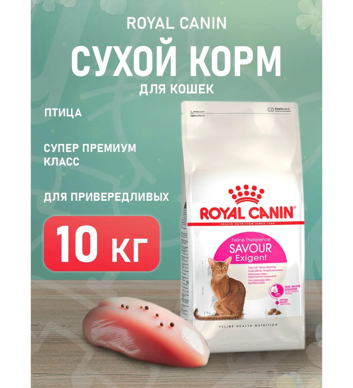 ROYAL CANIN Dry food Savour Exigent for fastidious cats 10 kg - Buy Online on GoSupps.com