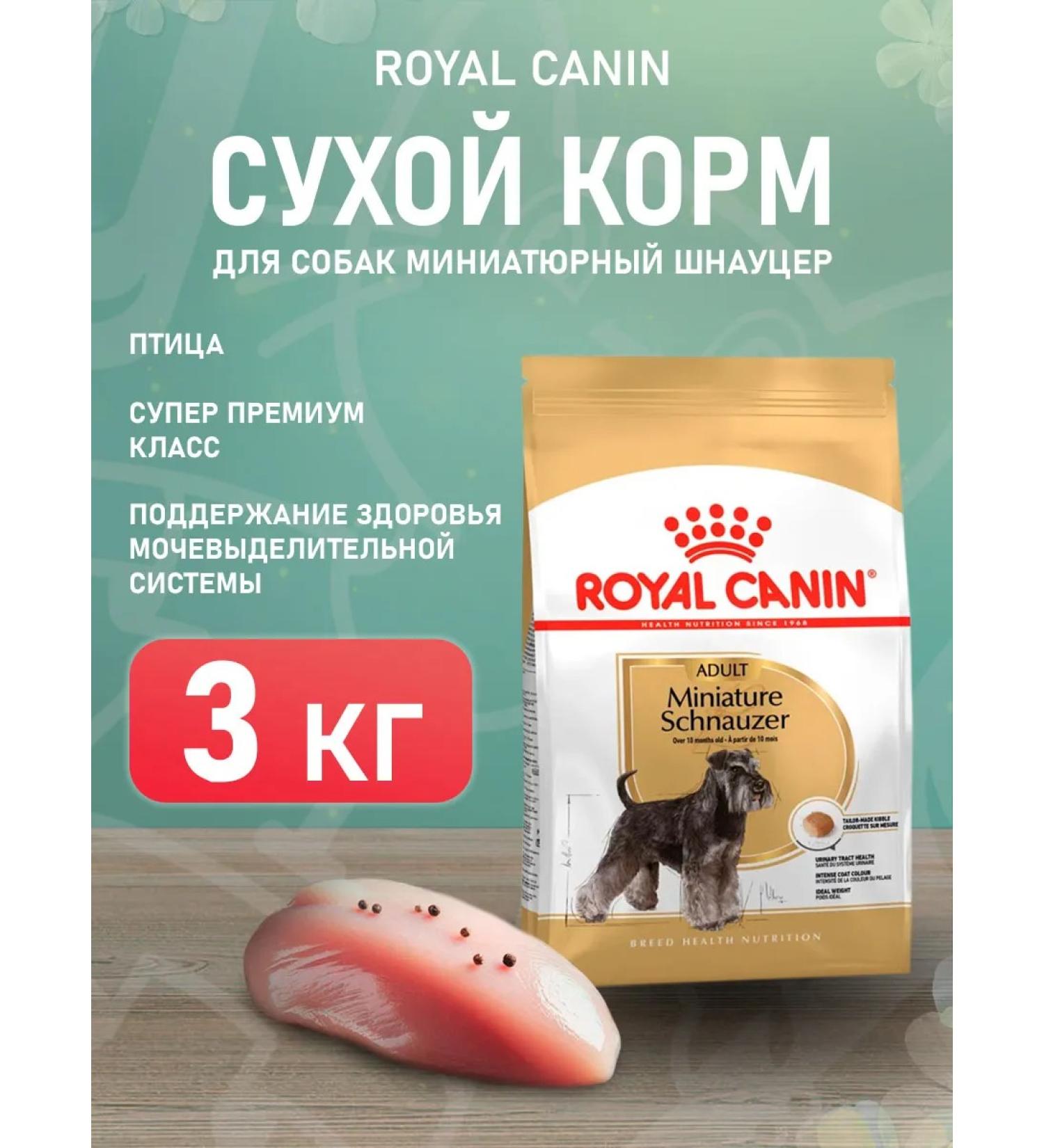 ROYAL CANIN Dry Miniature Schnauzer Adult Form Schnauzer Dog 3 kg - Buy Online on GoSupps.com