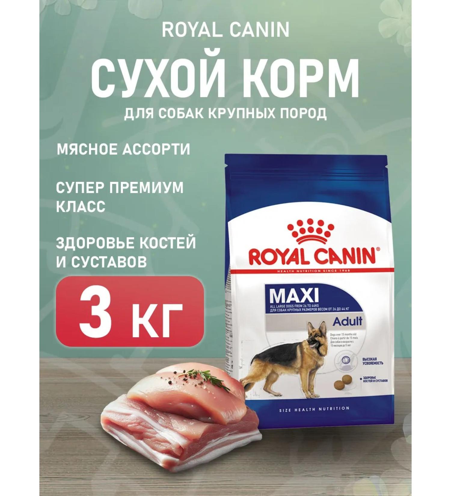 ROYAL CANIN Dog food dry Maxi Adult for large breeds of 3 kg - Buy Online on GoSupps.com