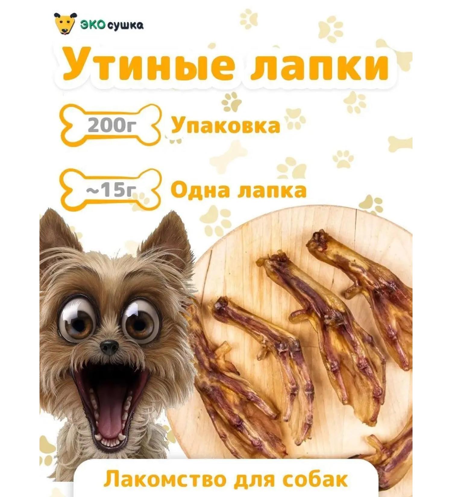 ECO-drying District natural delicious paws duck paws duck - Buy Online on GoSupps.com