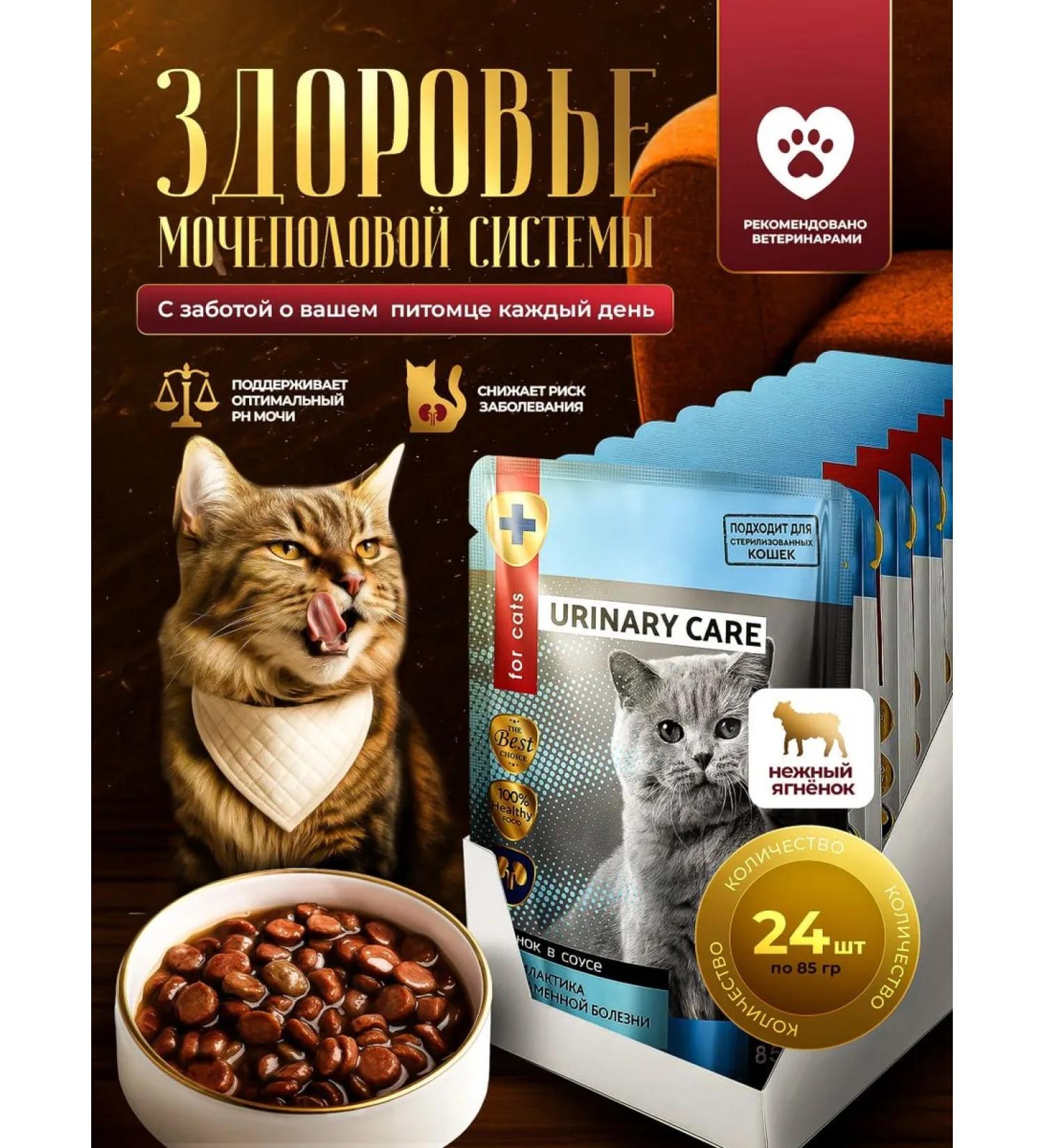 SECRET FOR PETS Urinary food for treatment with ICD with lamb 85 g x 24 pcs - Buy Online on GoSupps.com