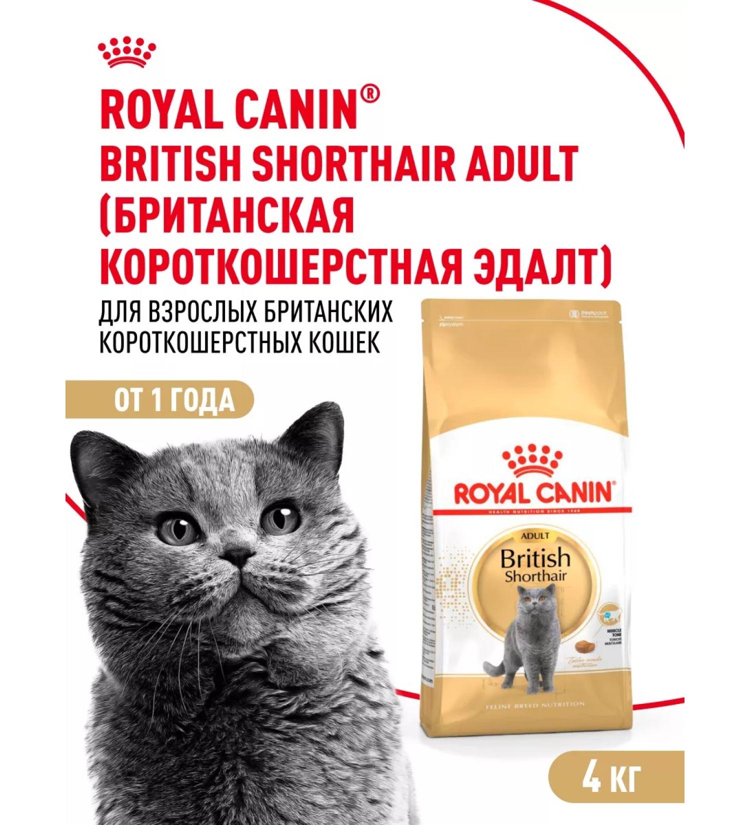 ROYAL CANIN Dry food for British cats British Adult 4 kg - Buy Online on GoSupps.com