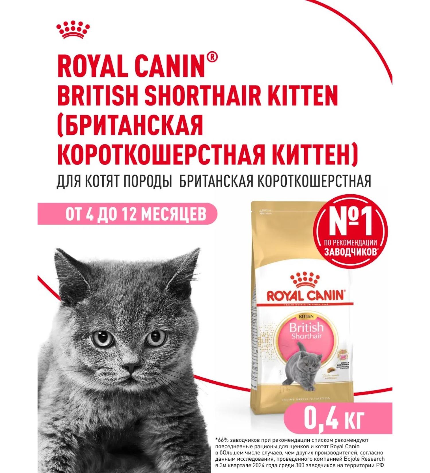 ROYAL CANIN Dry food for British kittens British Kitten 400 g - Buy Online on GoSupps.com